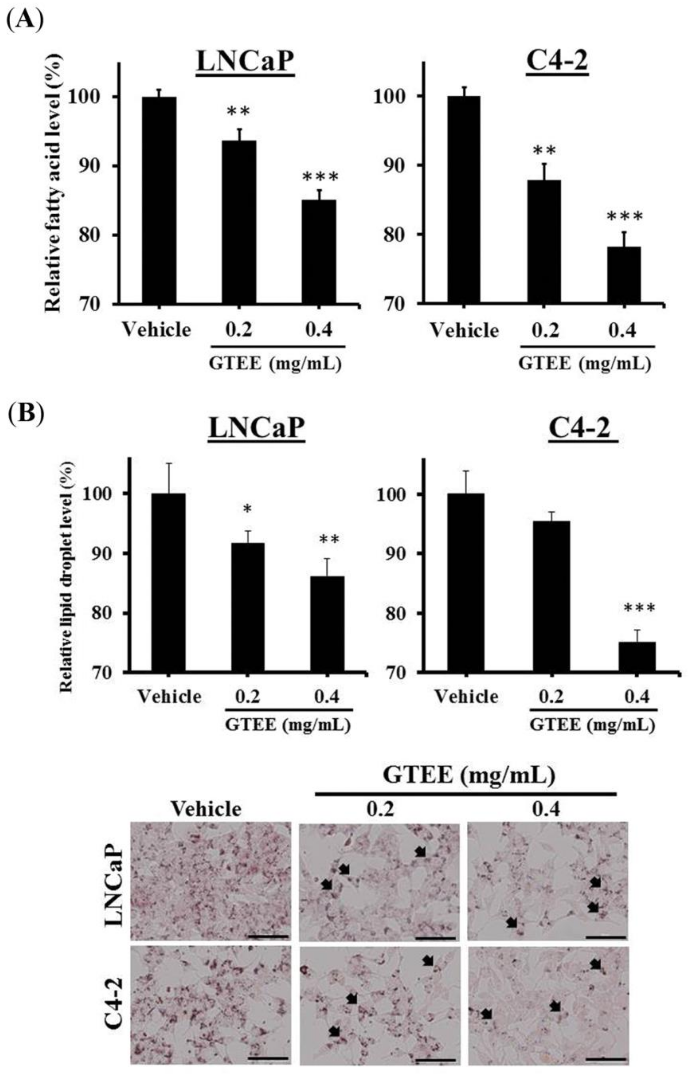 Molecules 23 02539 g002
