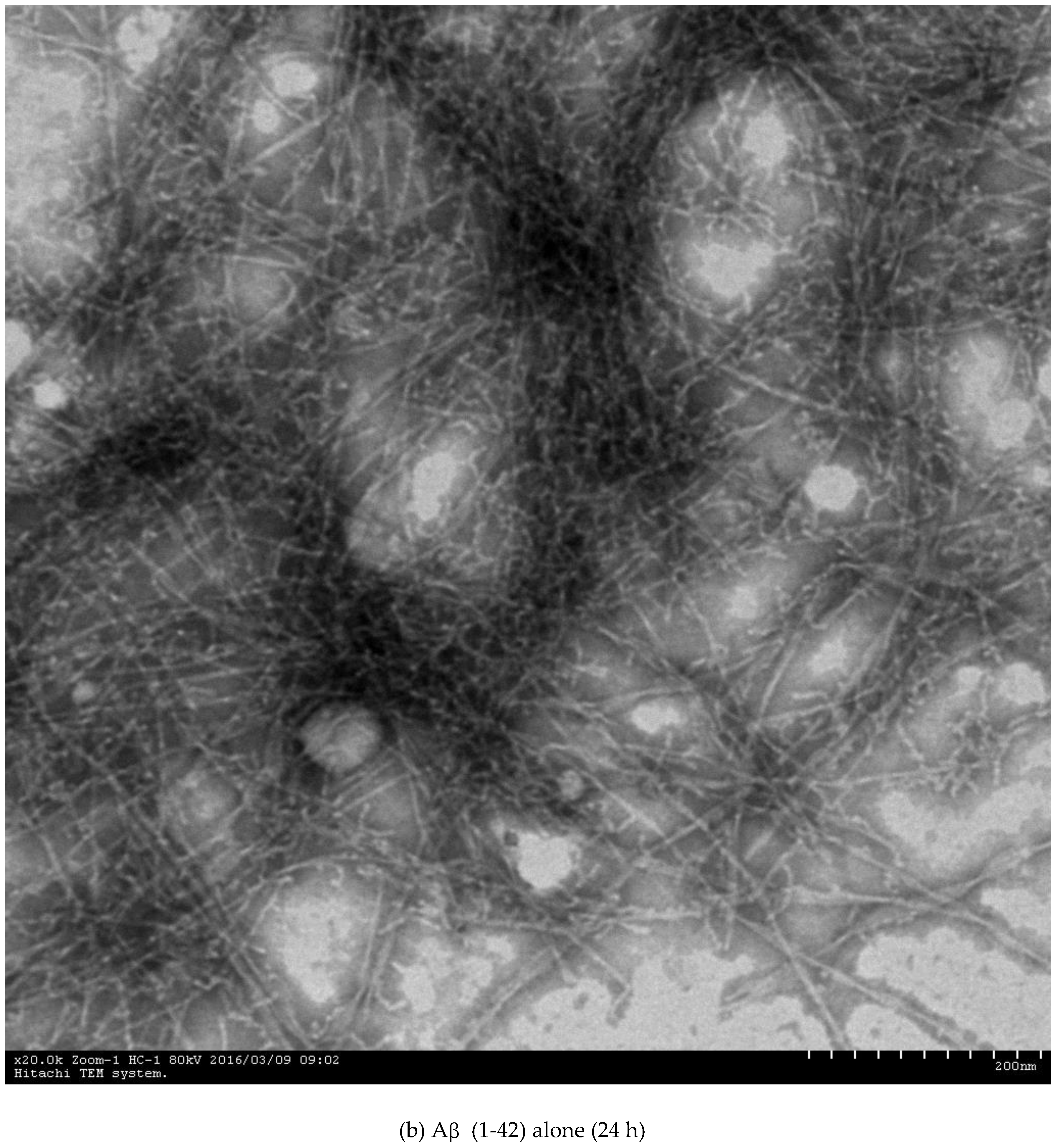 Molecules 23 02540 g001b Molecules 23 02540 g001b