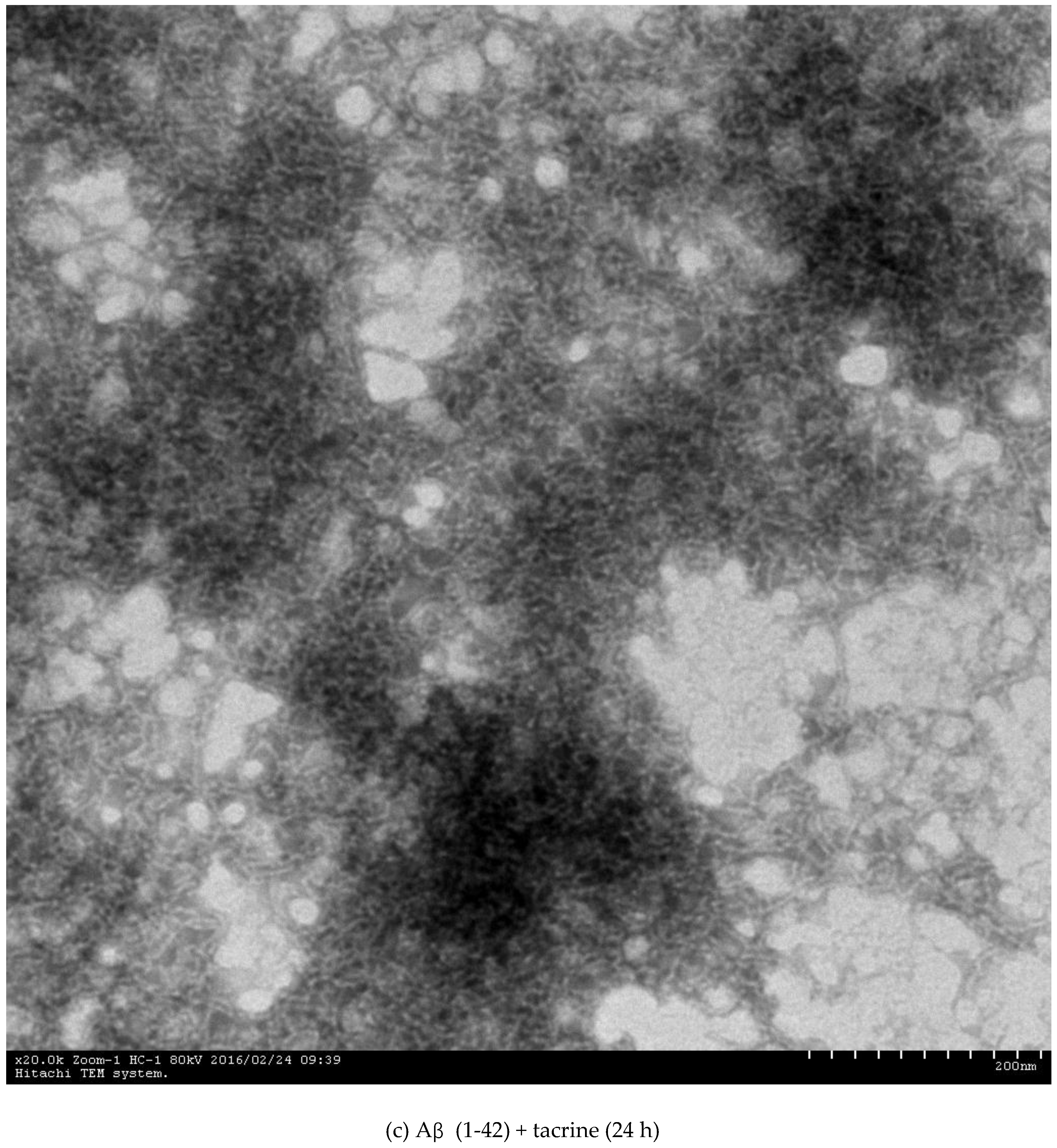 Molecules 23 02540 g001c Molecules 23 02540 g001c