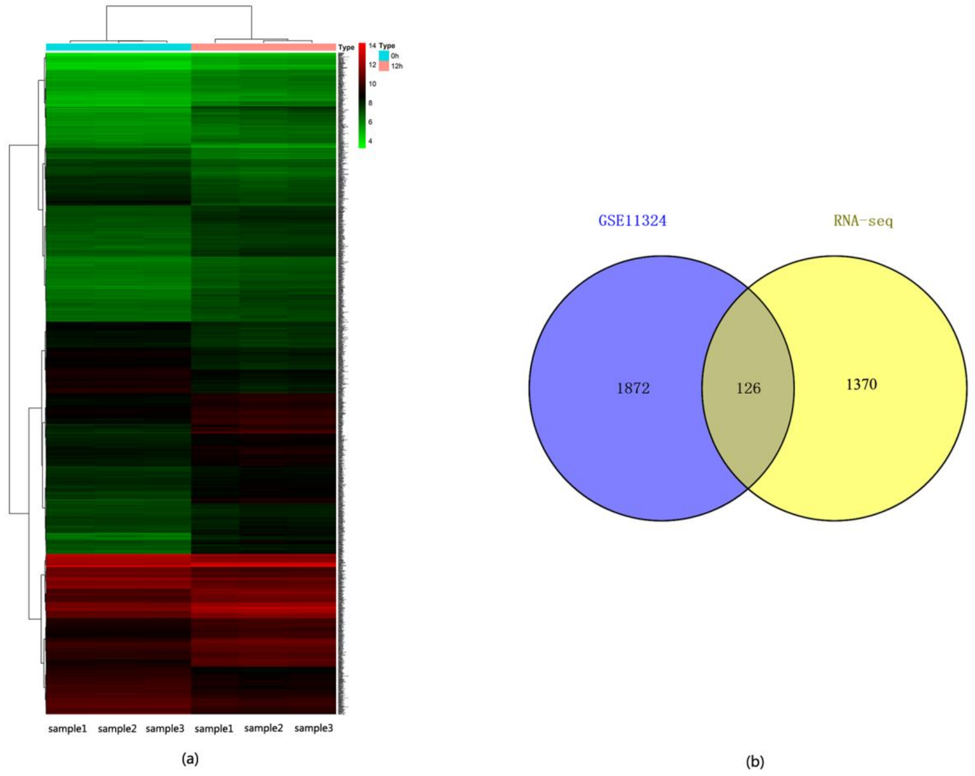 Molecules 23 02543 g007 Molecules 23 02543 g007