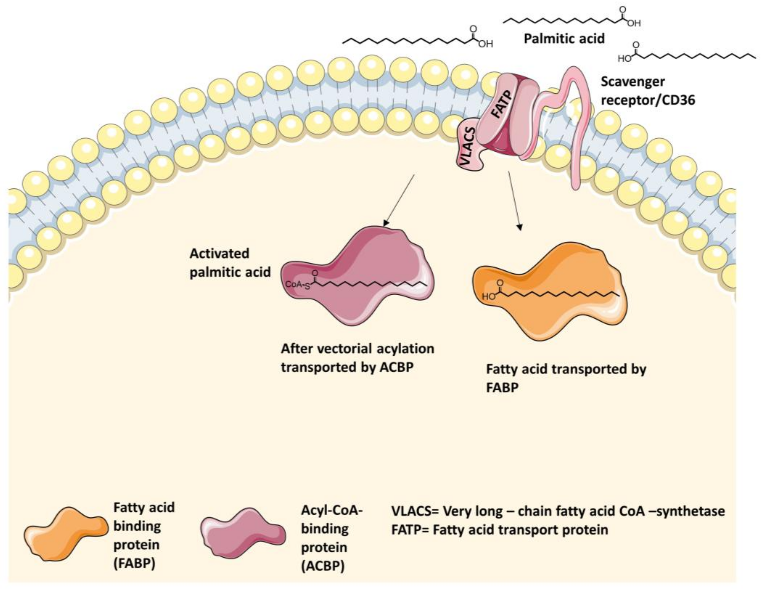 Molecules 23 02544 g003 Molecules 23 02544 g003