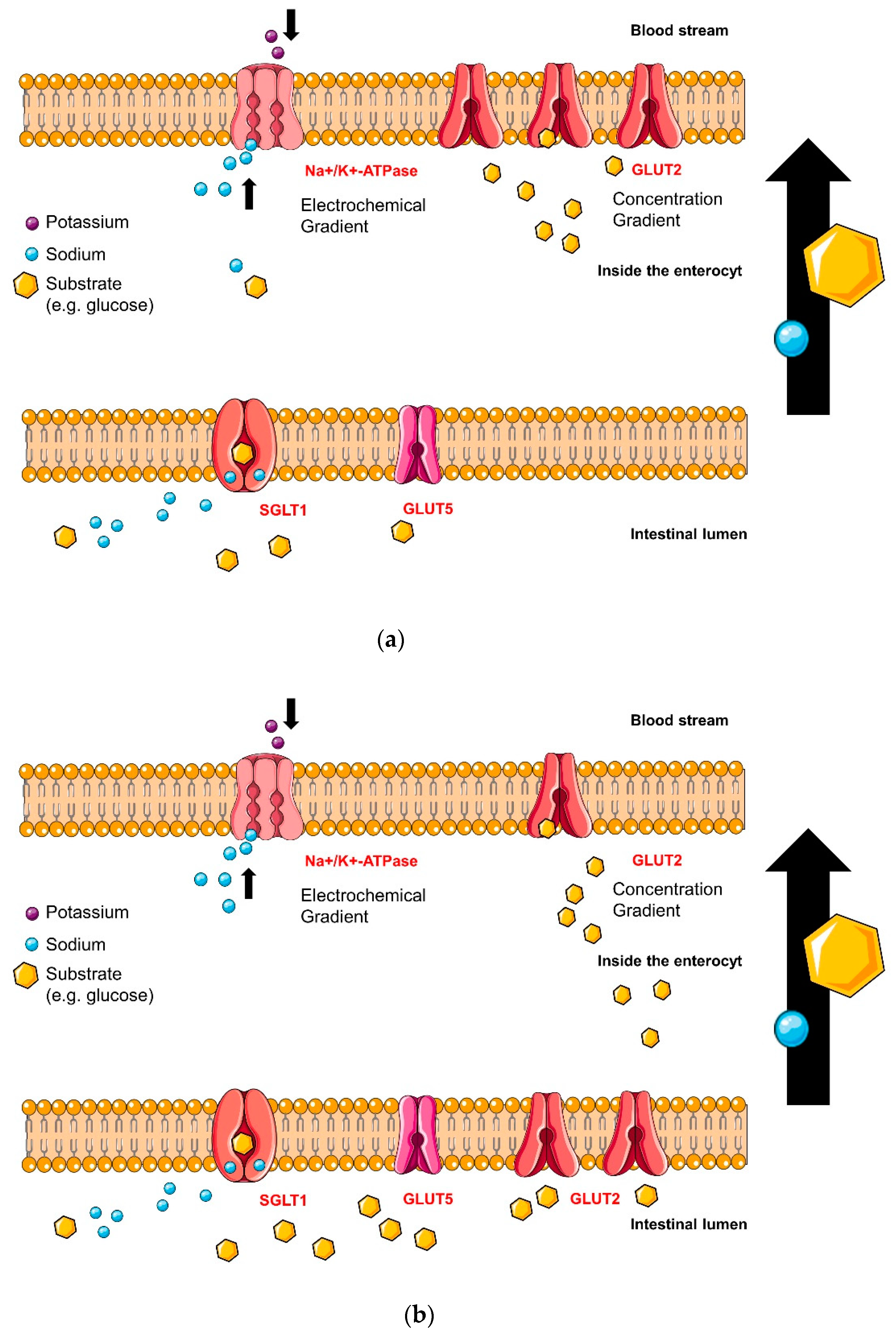Molecules 23 02544 g004 Molecules 23 02544 g004