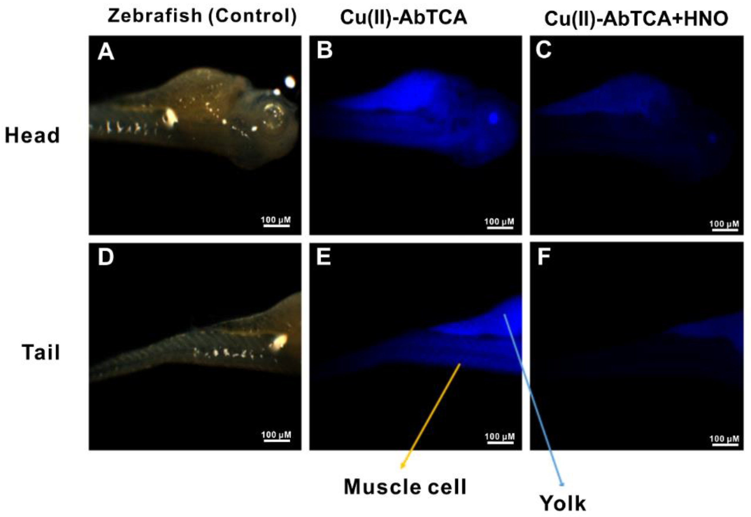 Molecules 23 02551 g004 Molecules 23 02551 g004