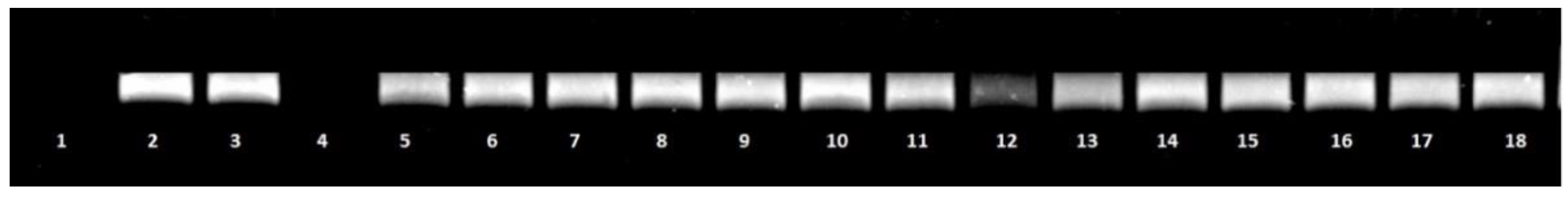 Molecules 23 02554 g002