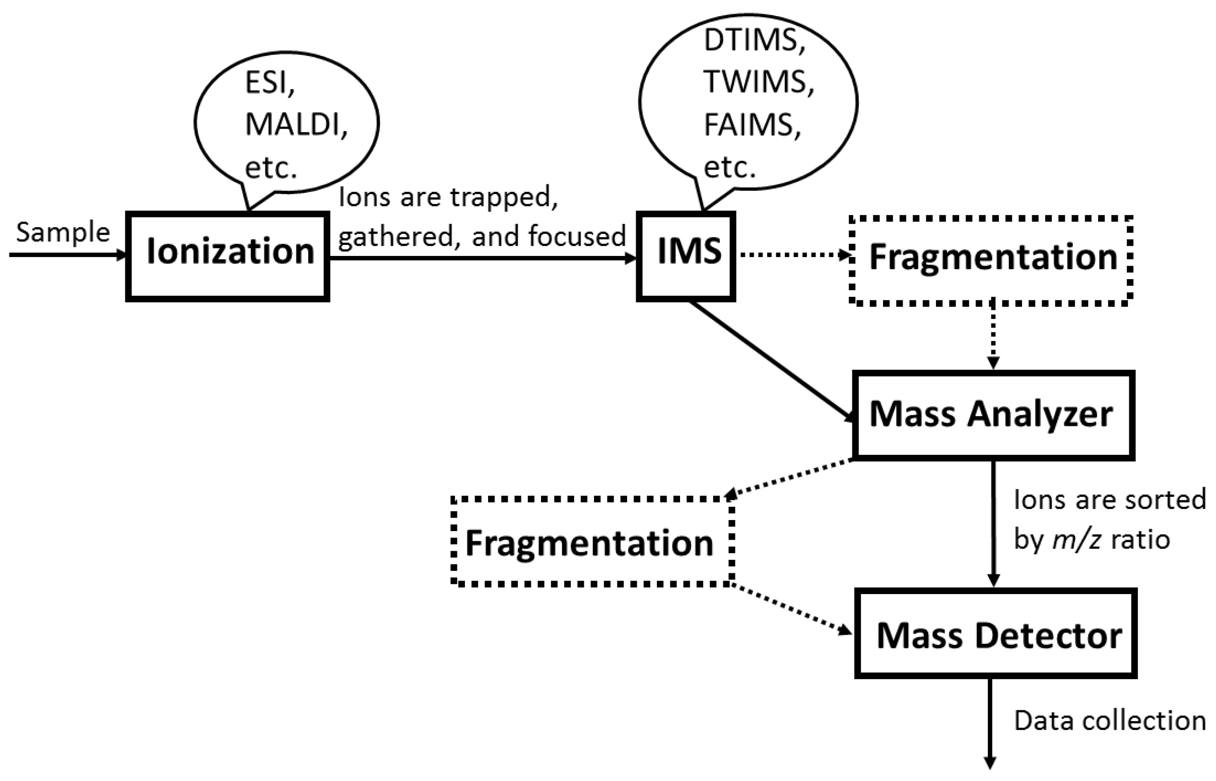 Molecules 23 02557 g002 Molecules 23 02557 g002