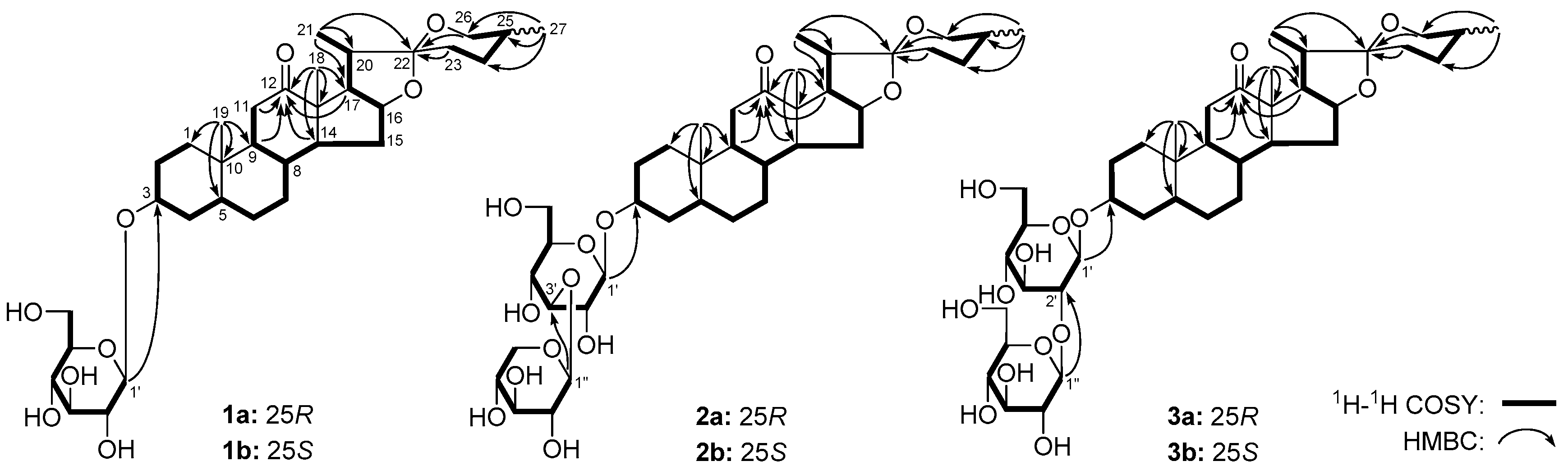 Molecules 23 02562 g008