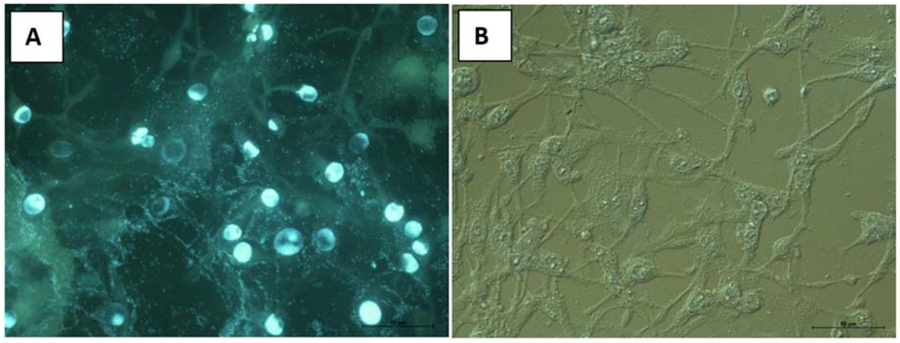 Molecules 23 02566 g004 Molecules 23 02566 g004
