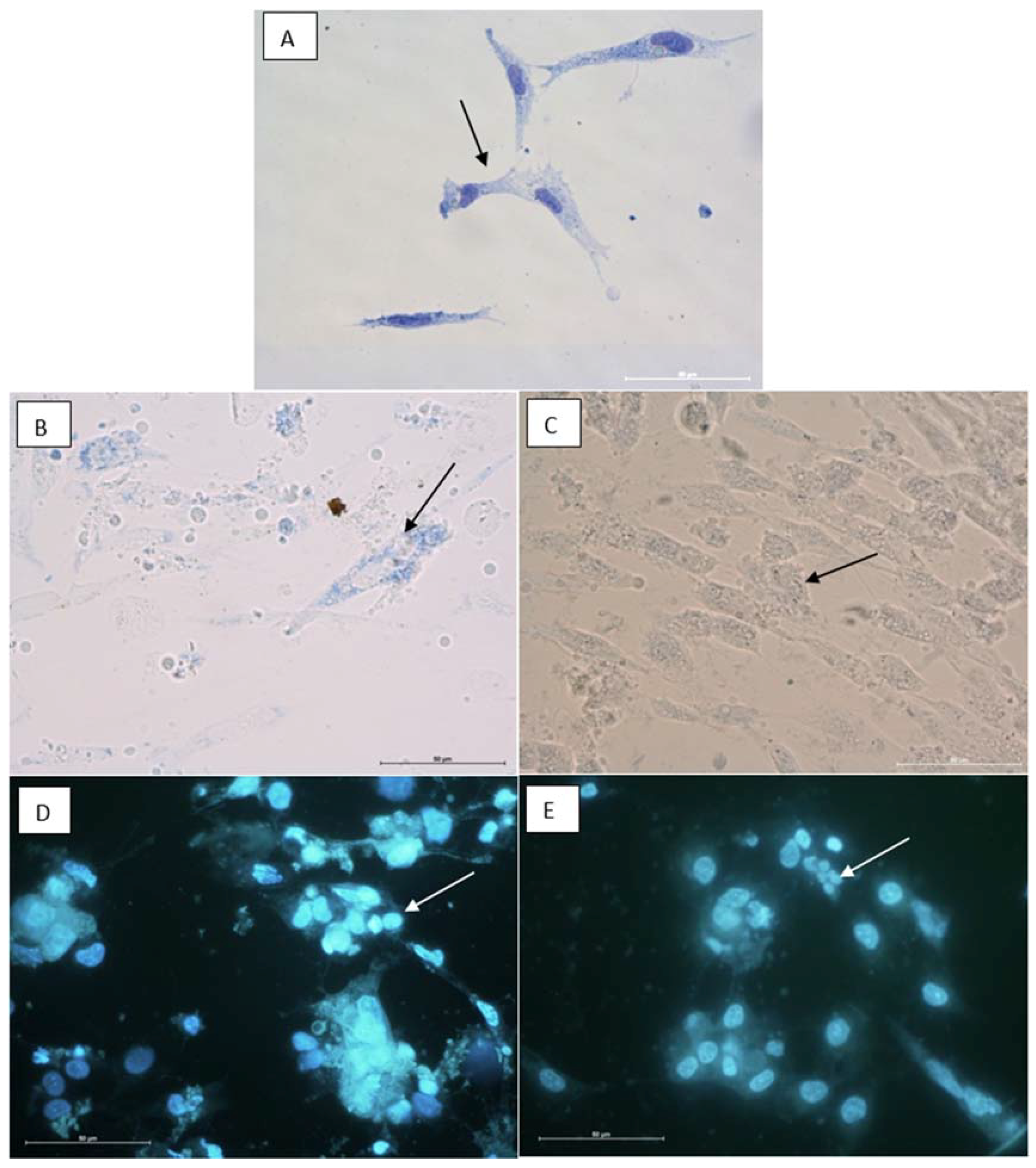 Molecules 23 02566 g005 Molecules 23 02566 g005