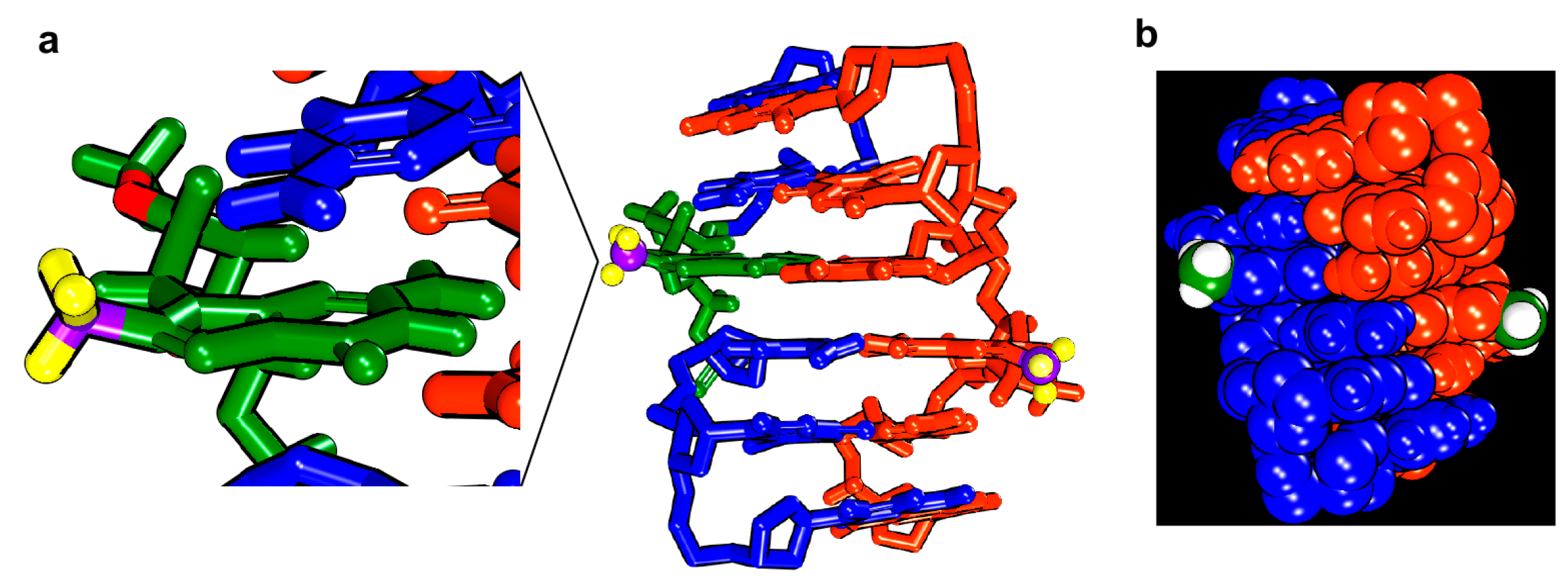 Molecules 23 02572 g005