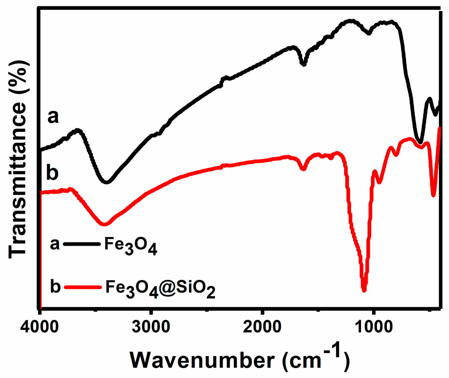 Molecules 23 02573 g003