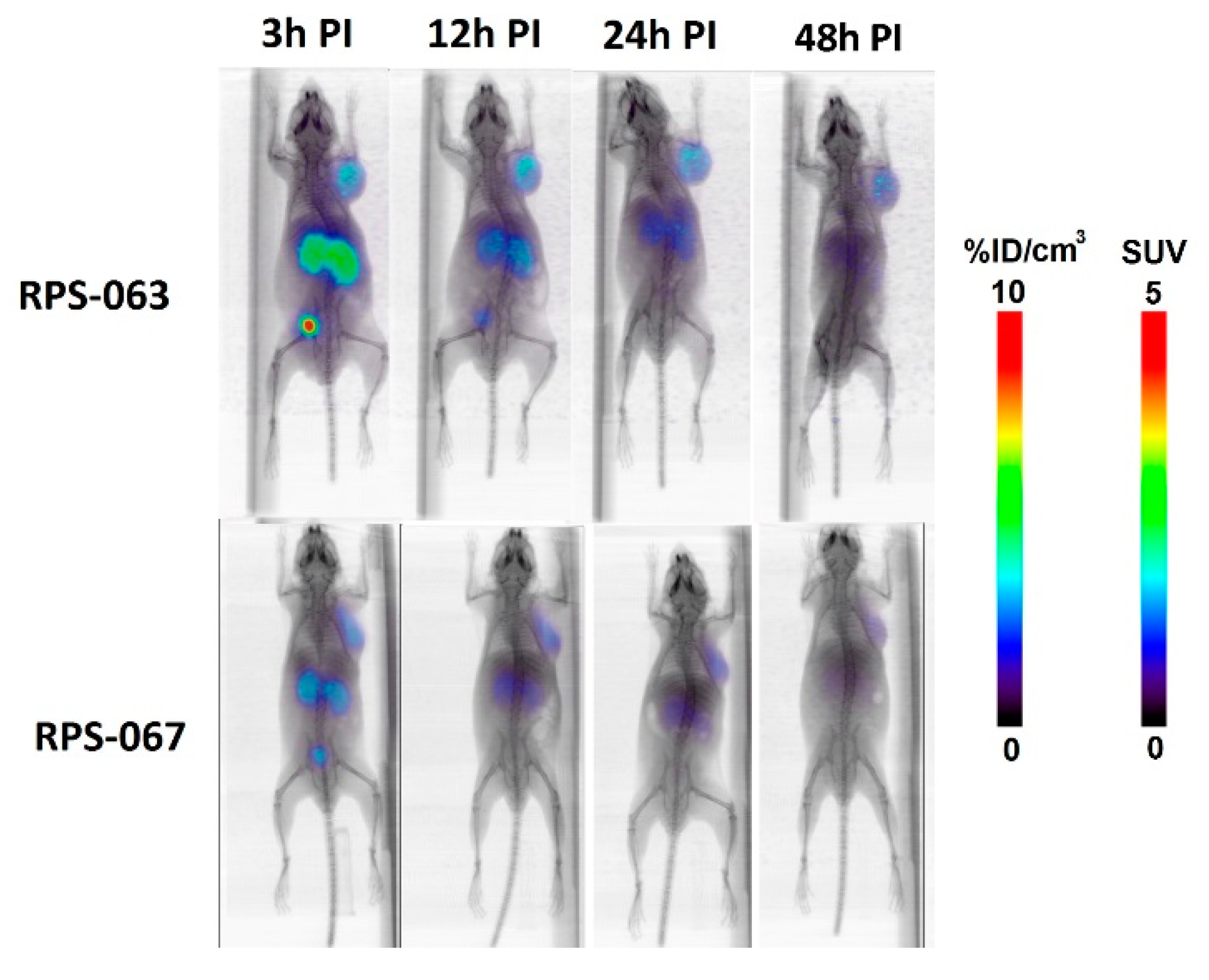 Molecules 23 02575 g002