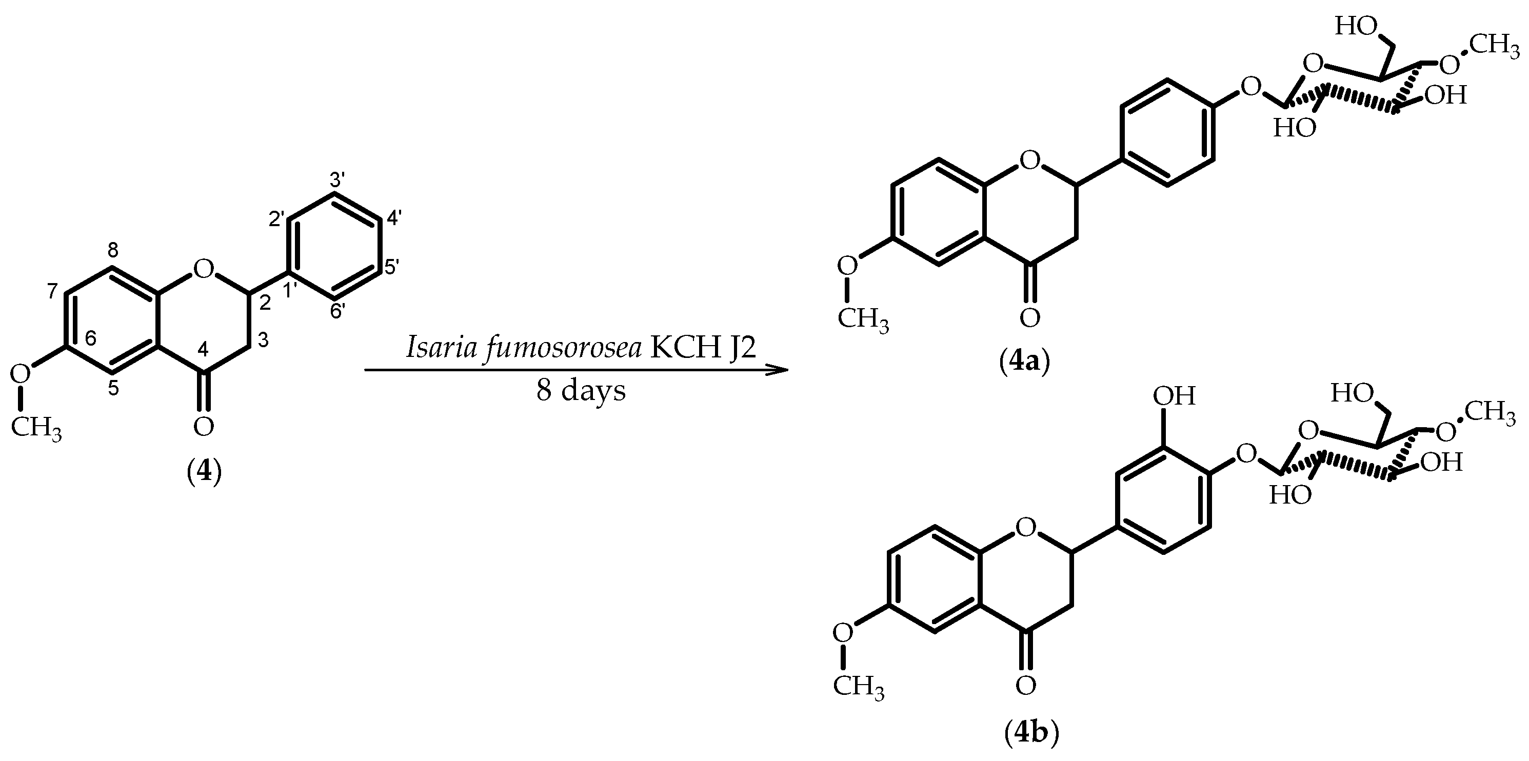 Molecules 23 02578 sch004 Molecules 23 02578 sch004