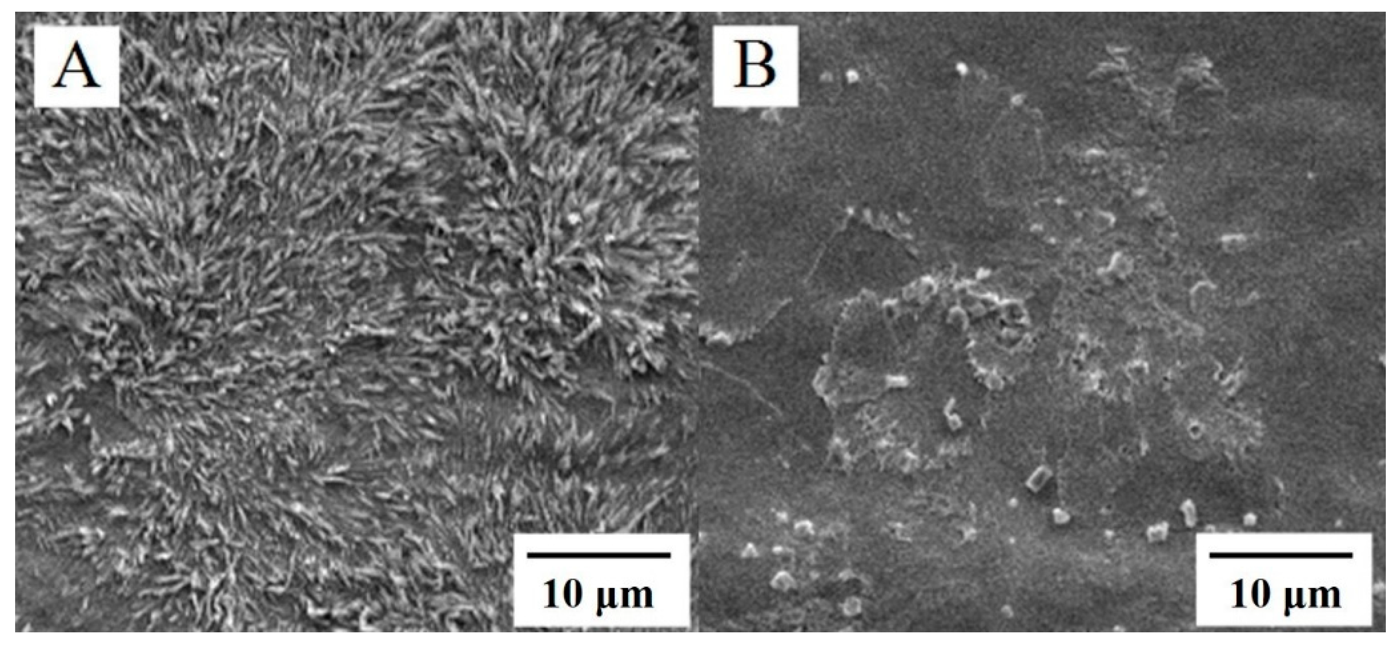 Molecules 23 02580 g001 Molecules 23 02580 g001