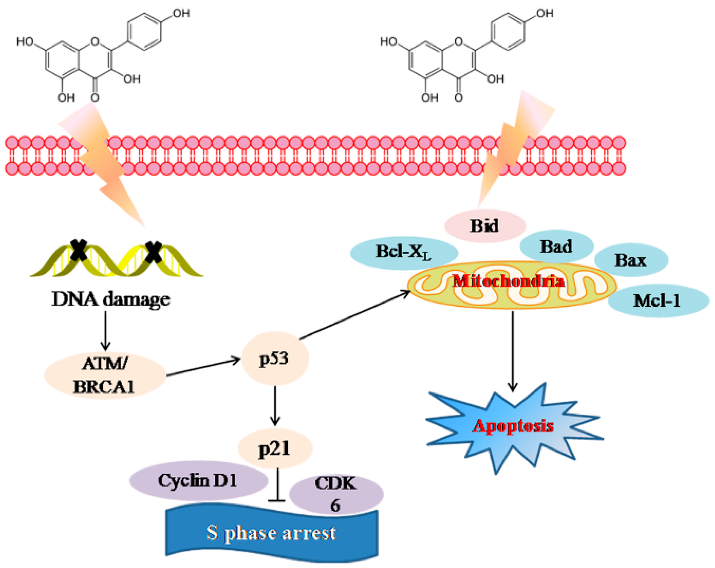 Molecules 23 02592 g006 Molecules 23 02592 g006