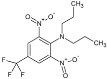 Molecules 23 02595 i008 Molecules 23 02595 i008