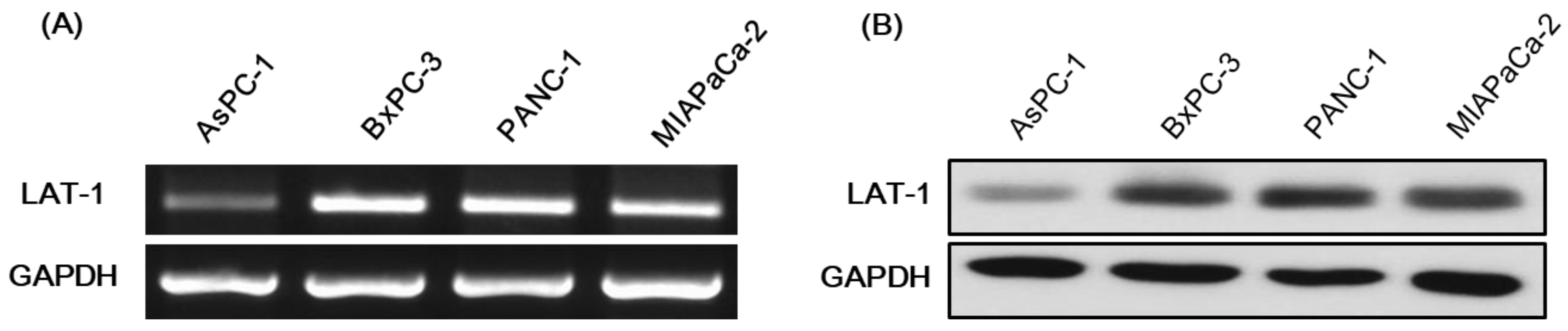 Molecules 23 02608 g002