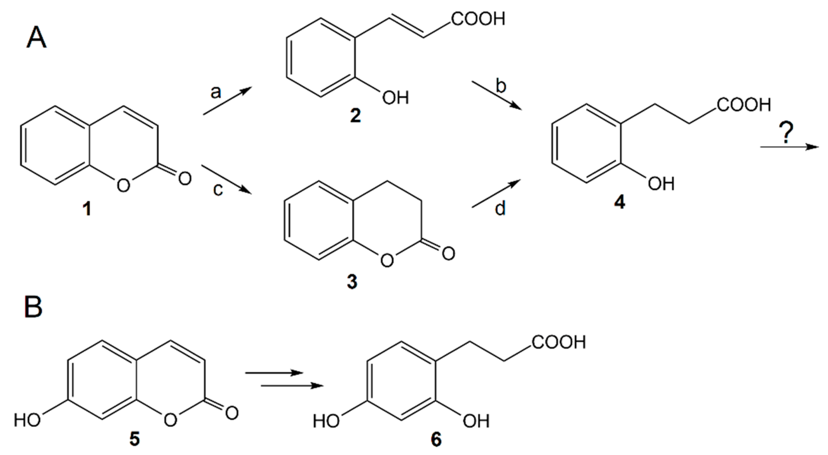 Molecules 23 02613 g001