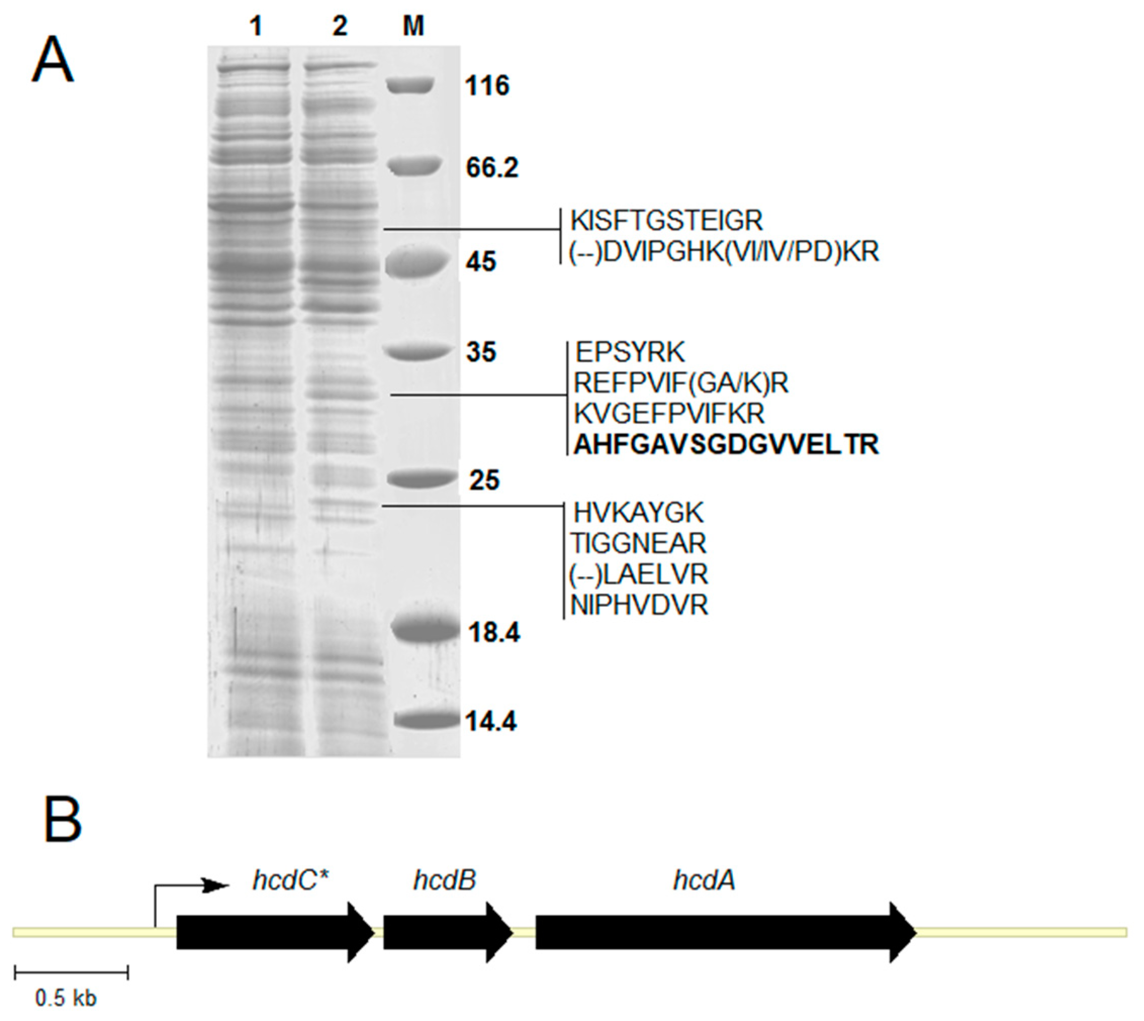 Molecules 23 02613 g003