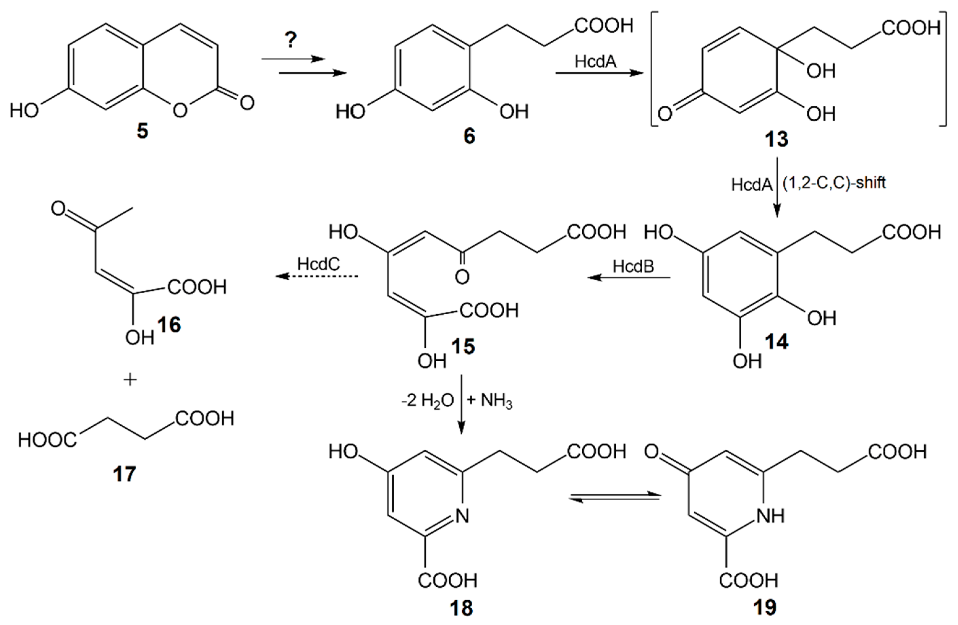 Molecules 23 02613 sch001