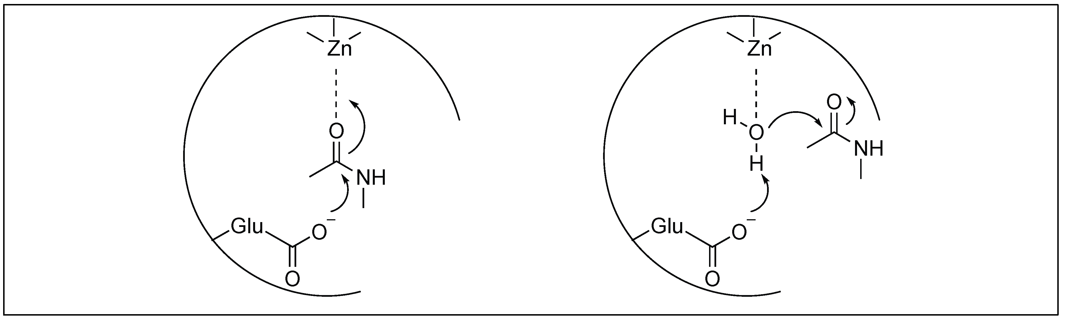 Molecules 23 02615 g005 Molecules 23 02615 g005
