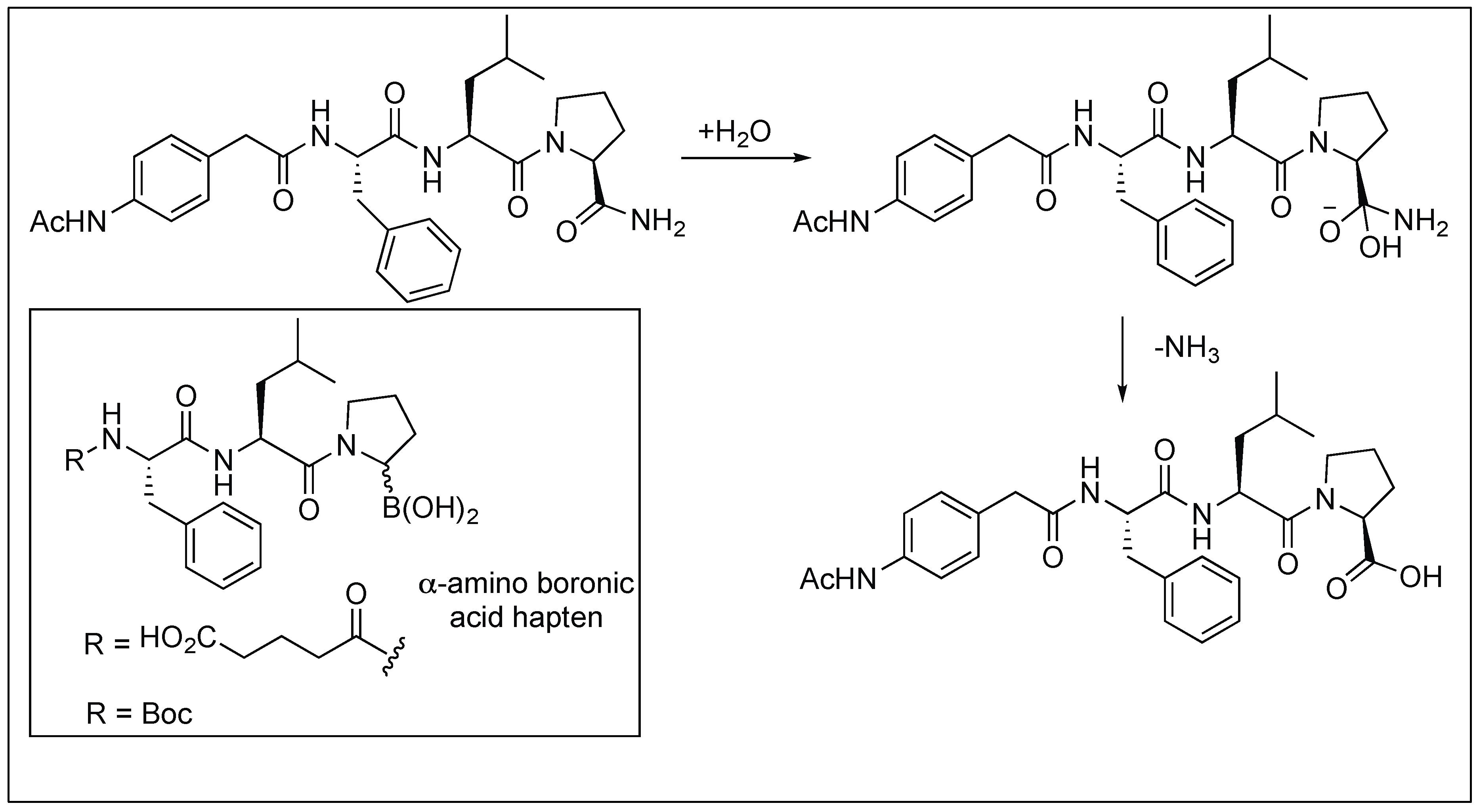 Molecules 23 02615 g009 Molecules 23 02615 g009