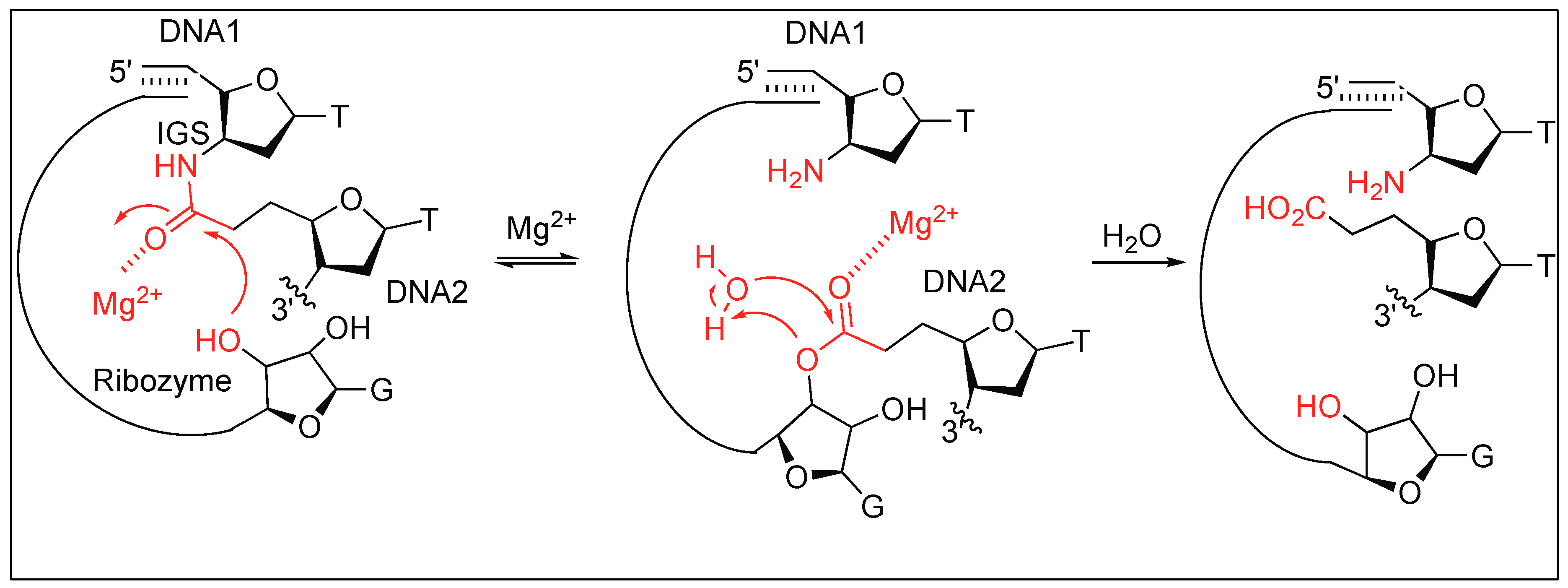 Molecules 23 02615 g010 Molecules 23 02615 g010