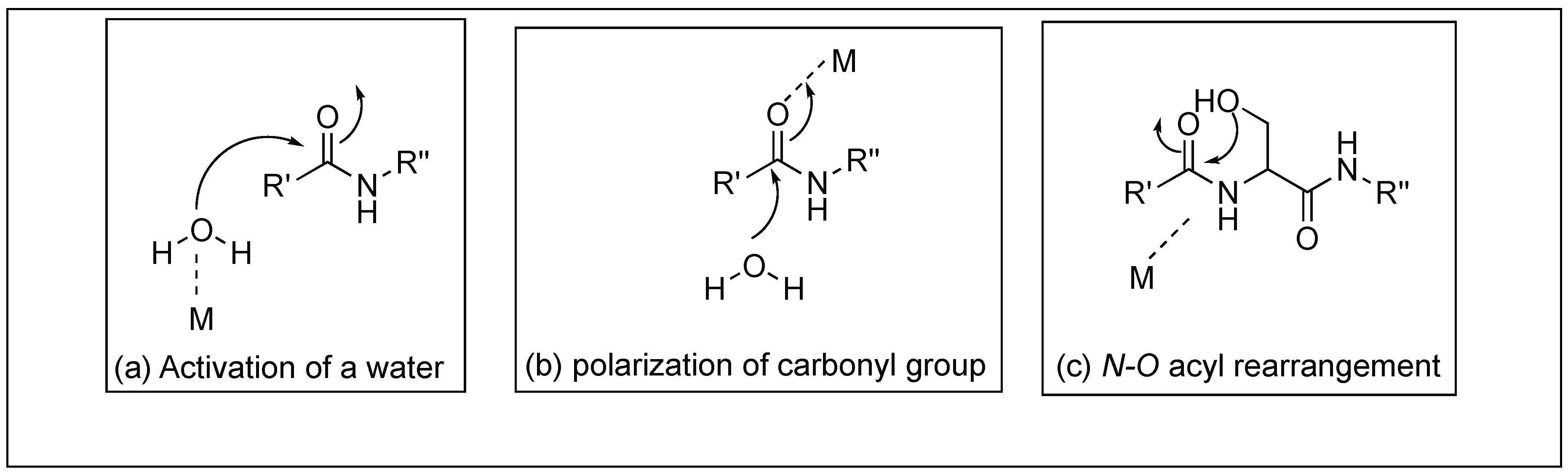 Molecules 23 02615 g011 Molecules 23 02615 g011