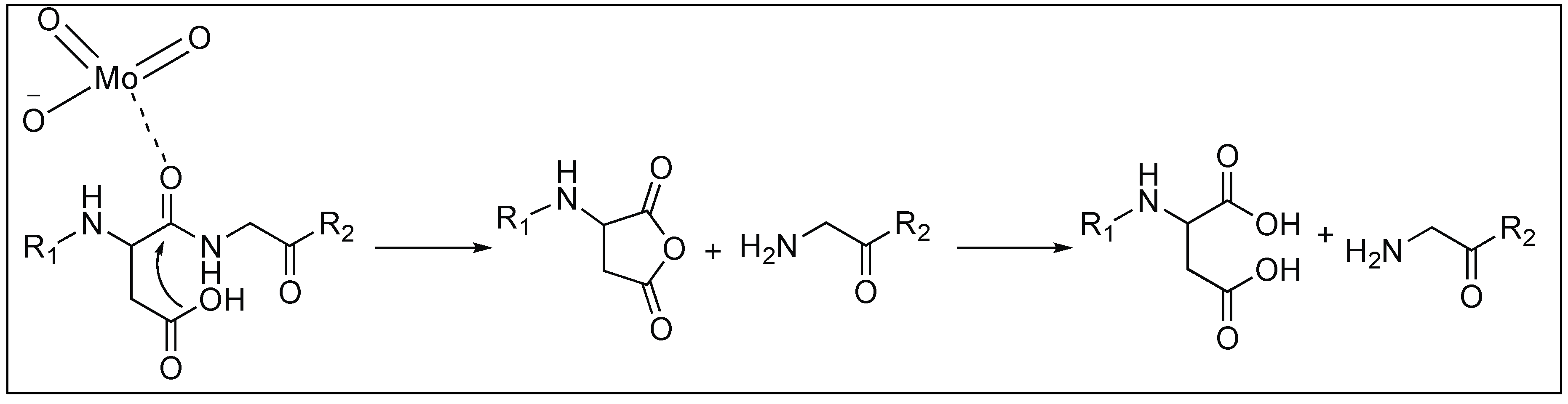 Molecules 23 02615 g013 Molecules 23 02615 g013