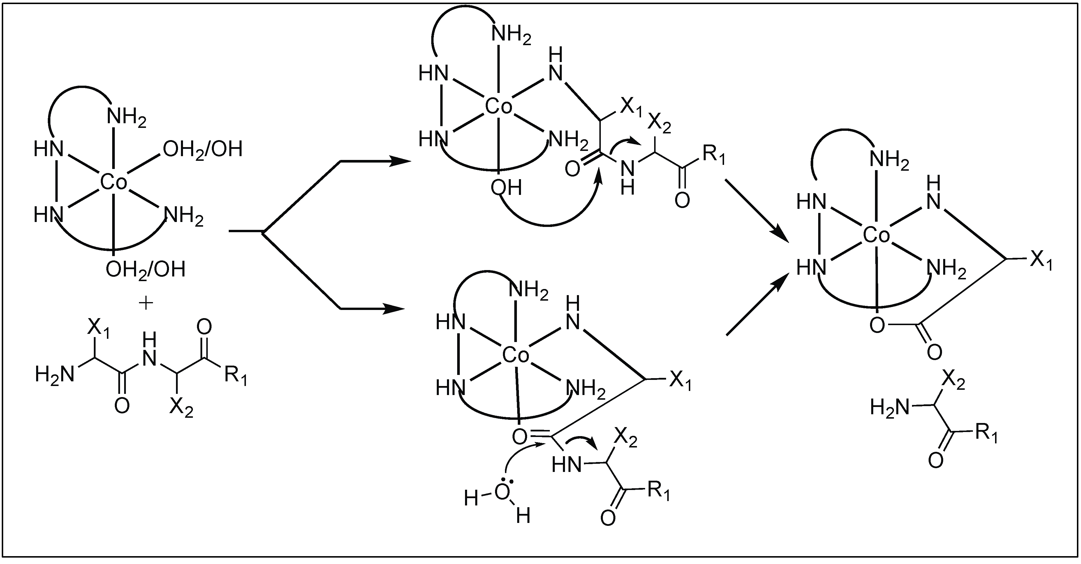 Molecules 23 02615 g014 Molecules 23 02615 g014
