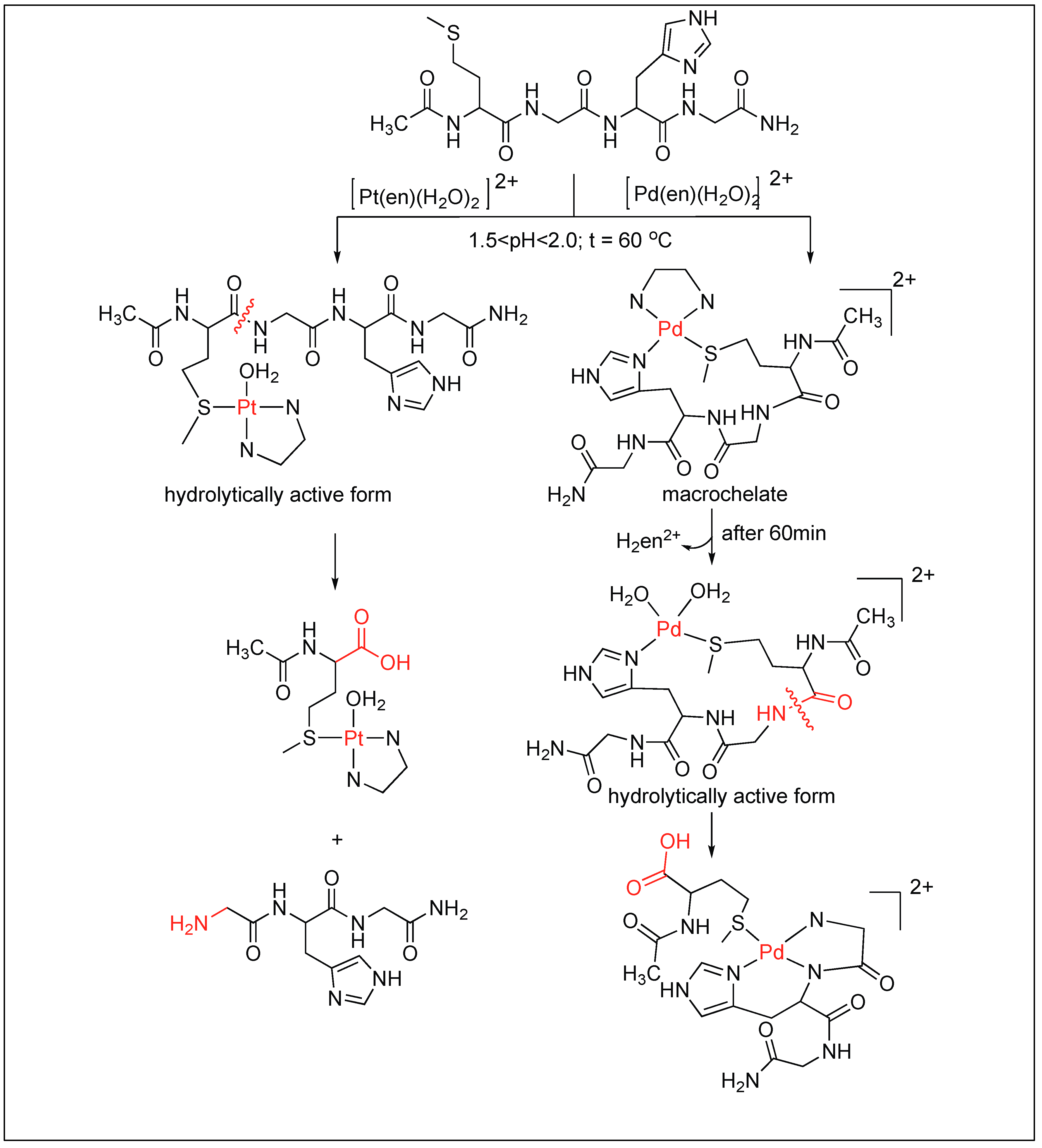 Molecules 23 02615 g019 Molecules 23 02615 g019