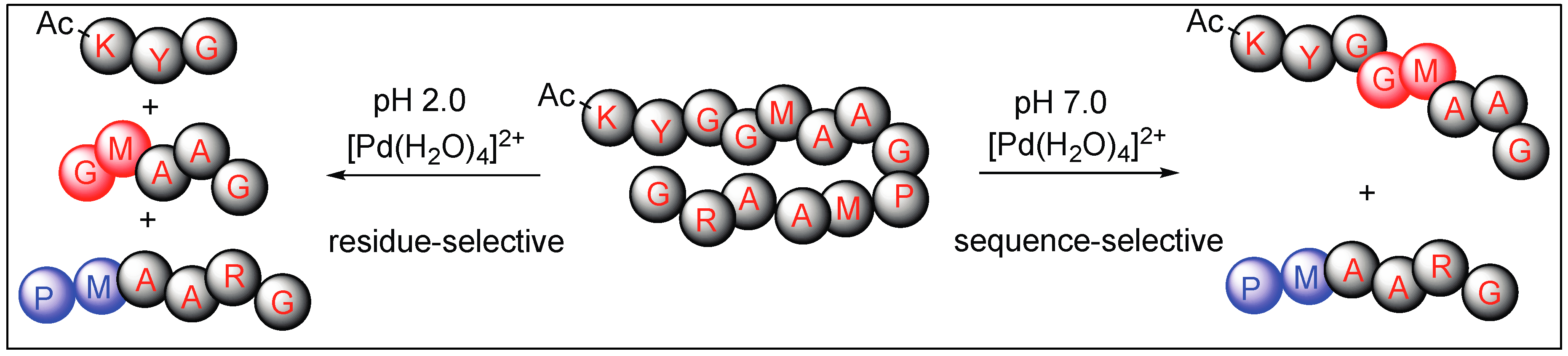 Molecules 23 02615 g024 Molecules 23 02615 g024
