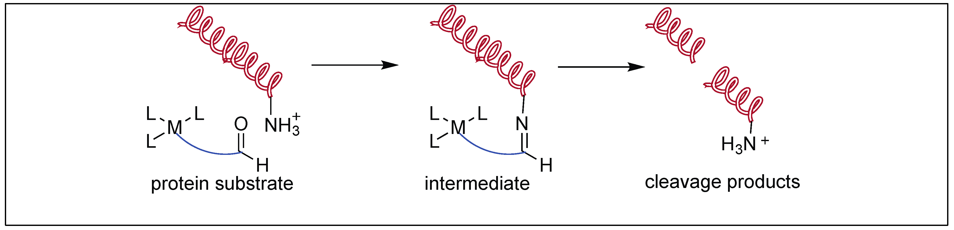 Molecules 23 02615 g028 Molecules 23 02615 g028