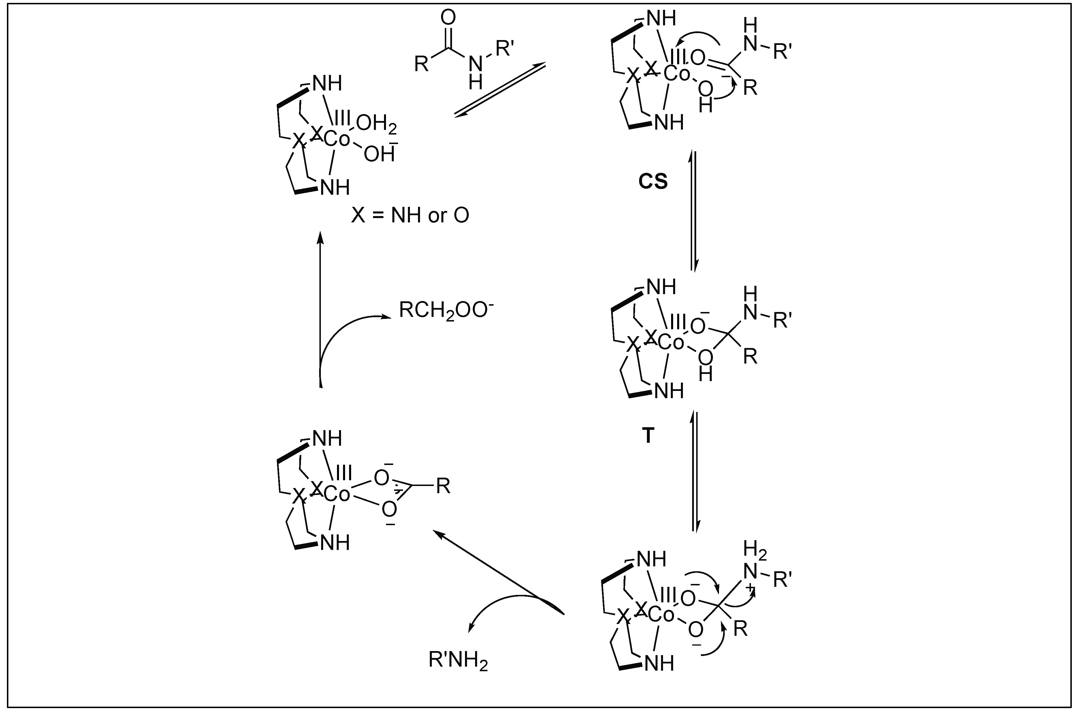 Molecules 23 02615 g030 Molecules 23 02615 g030