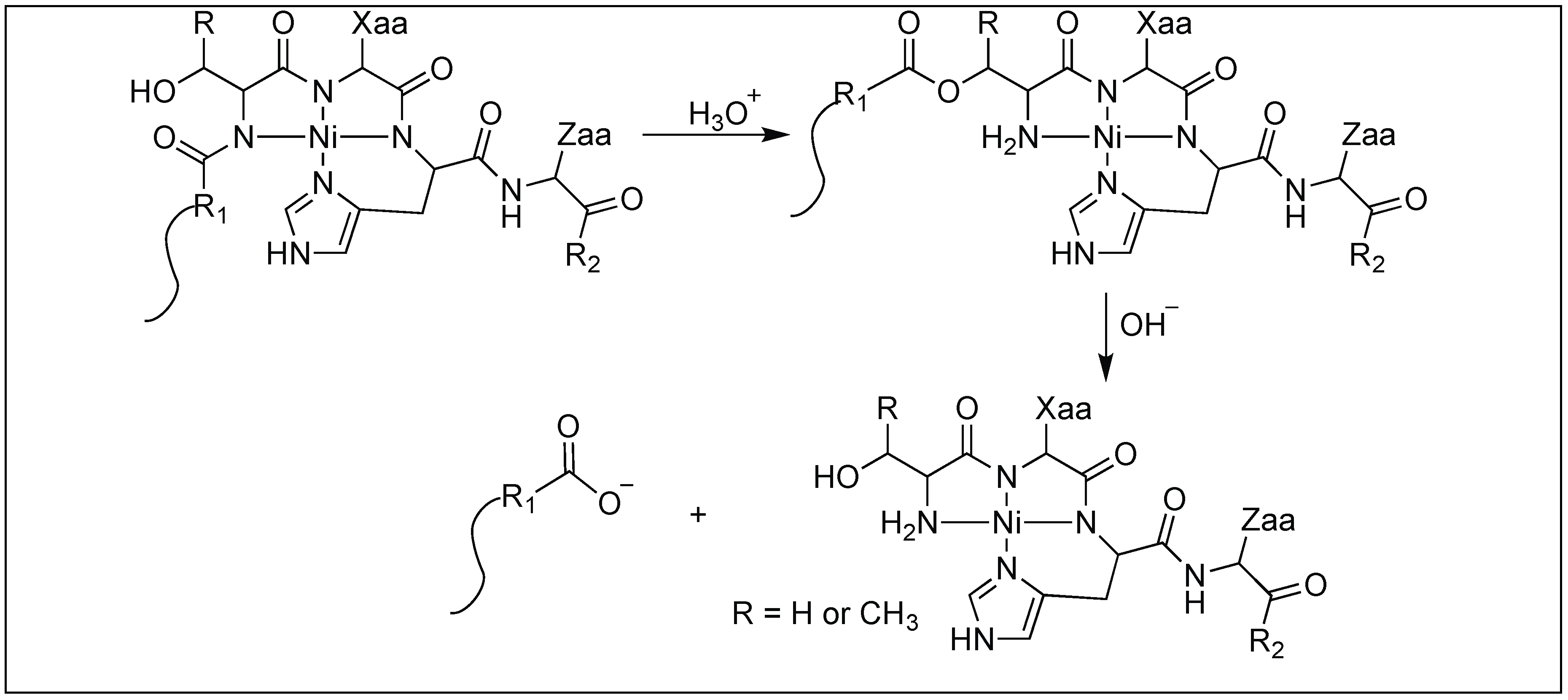Molecules 23 02615 g034 Molecules 23 02615 g034