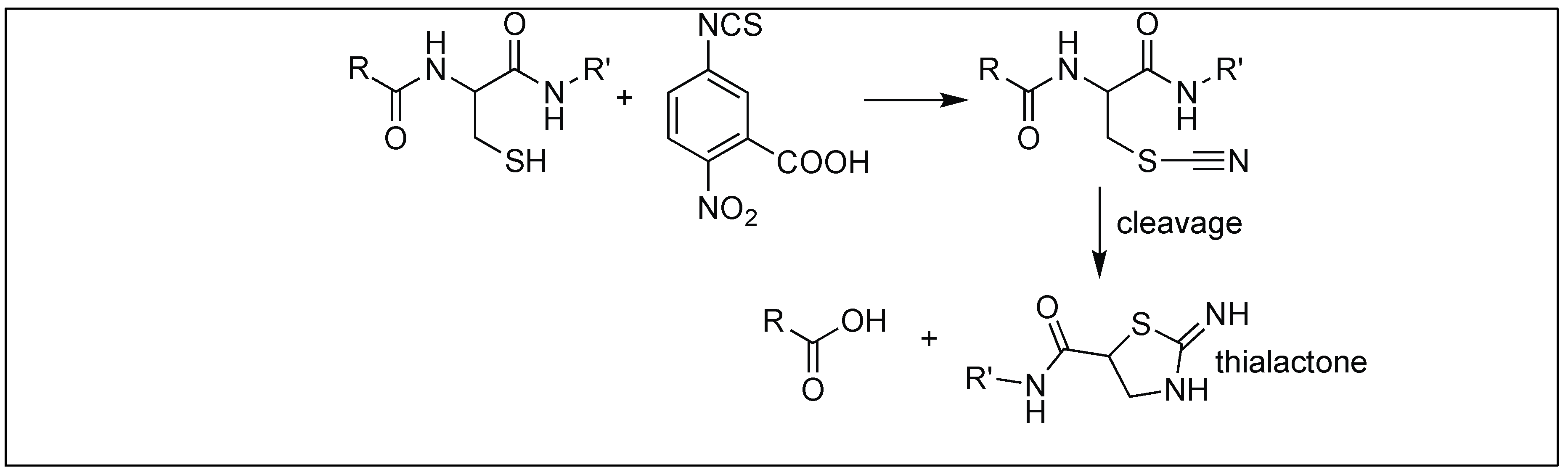 Molecules 23 02615 g038 Molecules 23 02615 g038