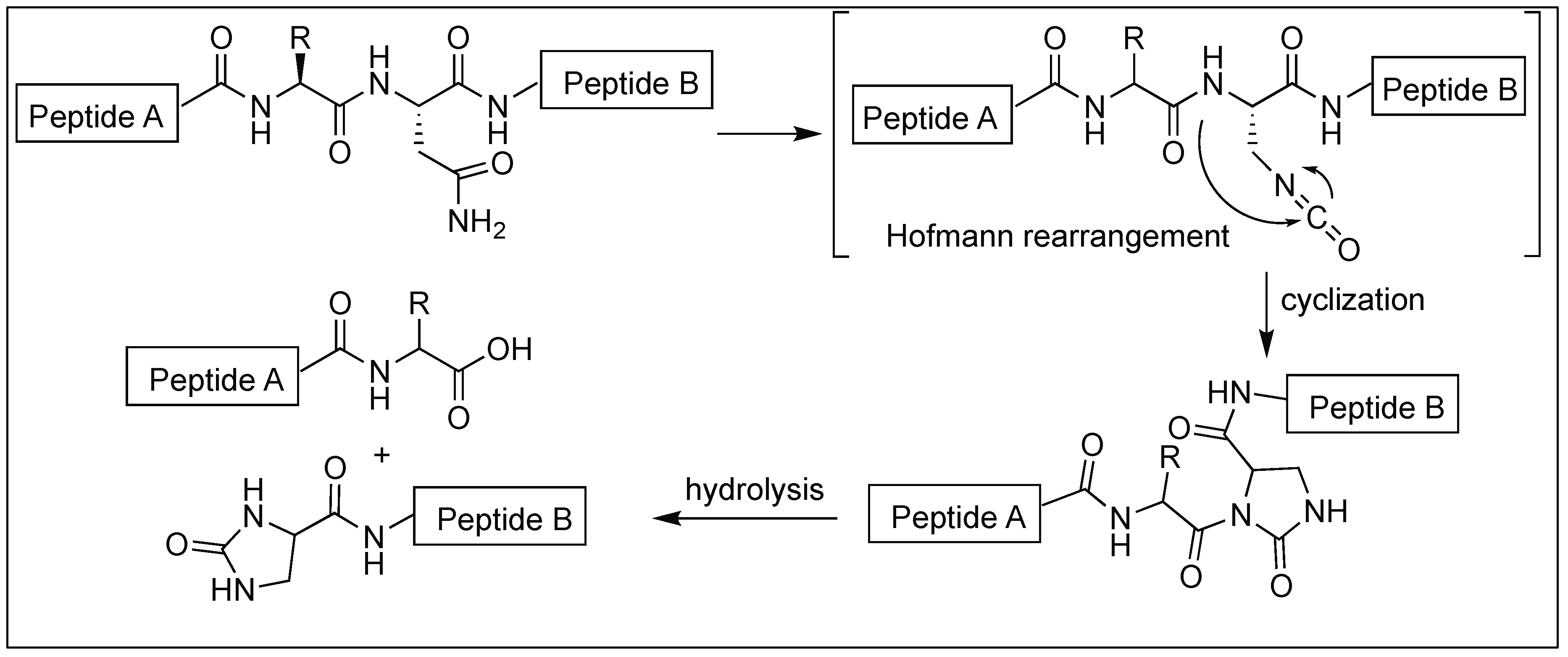 Molecules 23 02615 g045 Molecules 23 02615 g045