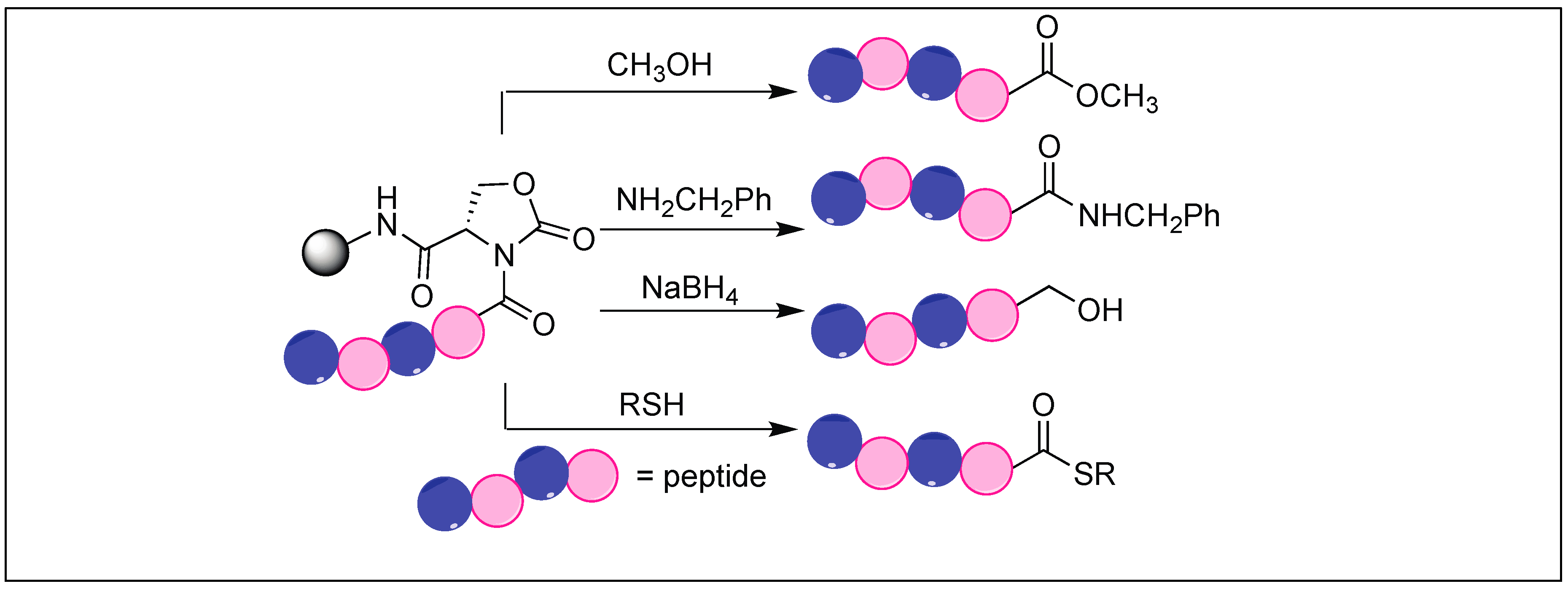 Molecules 23 02615 g048 Molecules 23 02615 g048