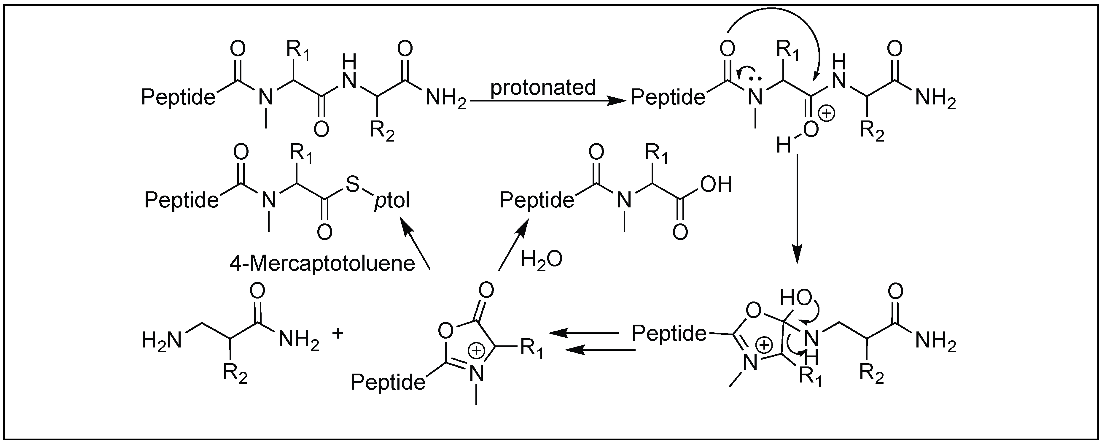 Molecules 23 02615 g055 Molecules 23 02615 g055