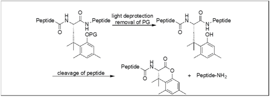 Molecules 23 02615 i001 Molecules 23 02615 i001