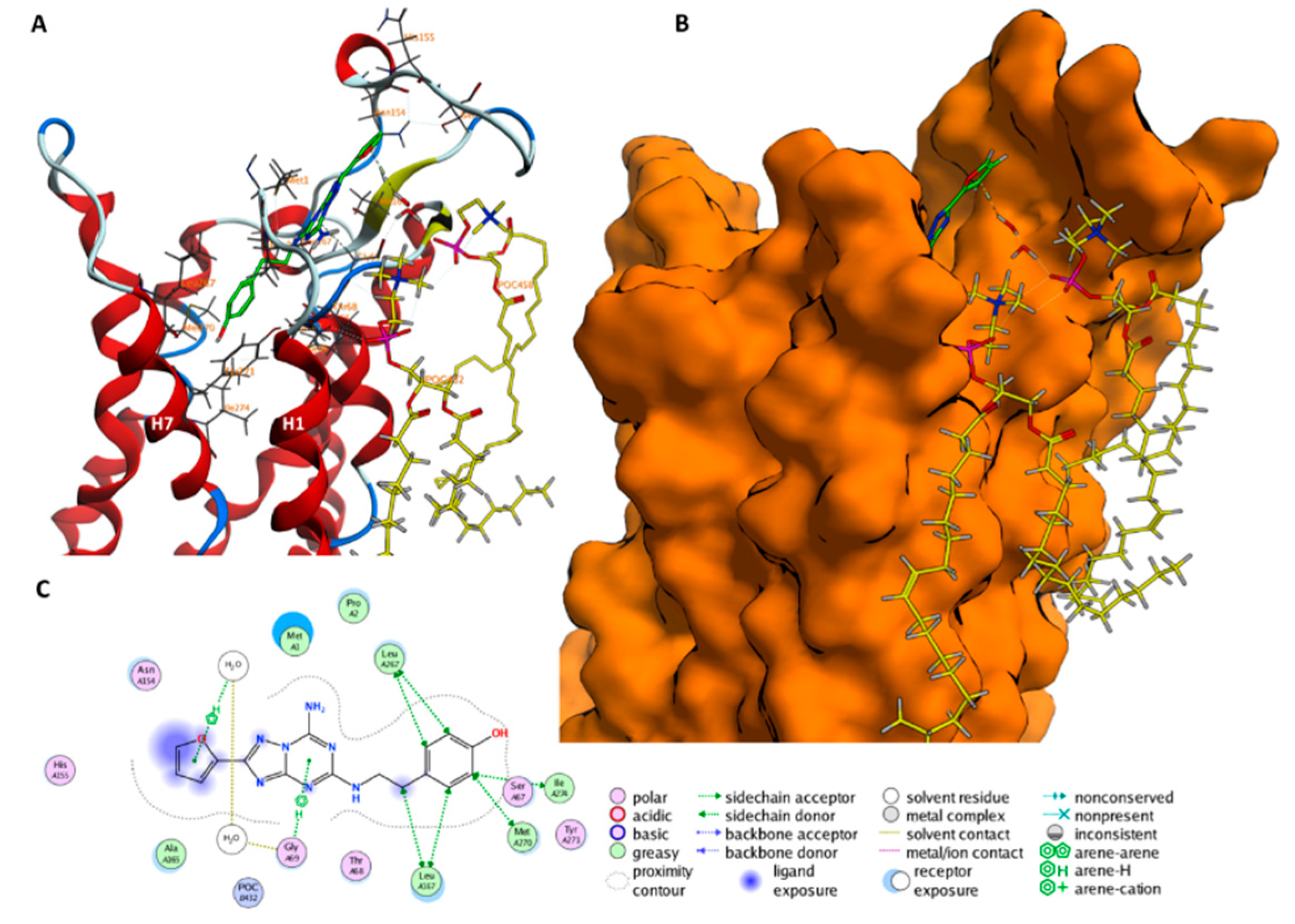 Molecules 23 02616 g005