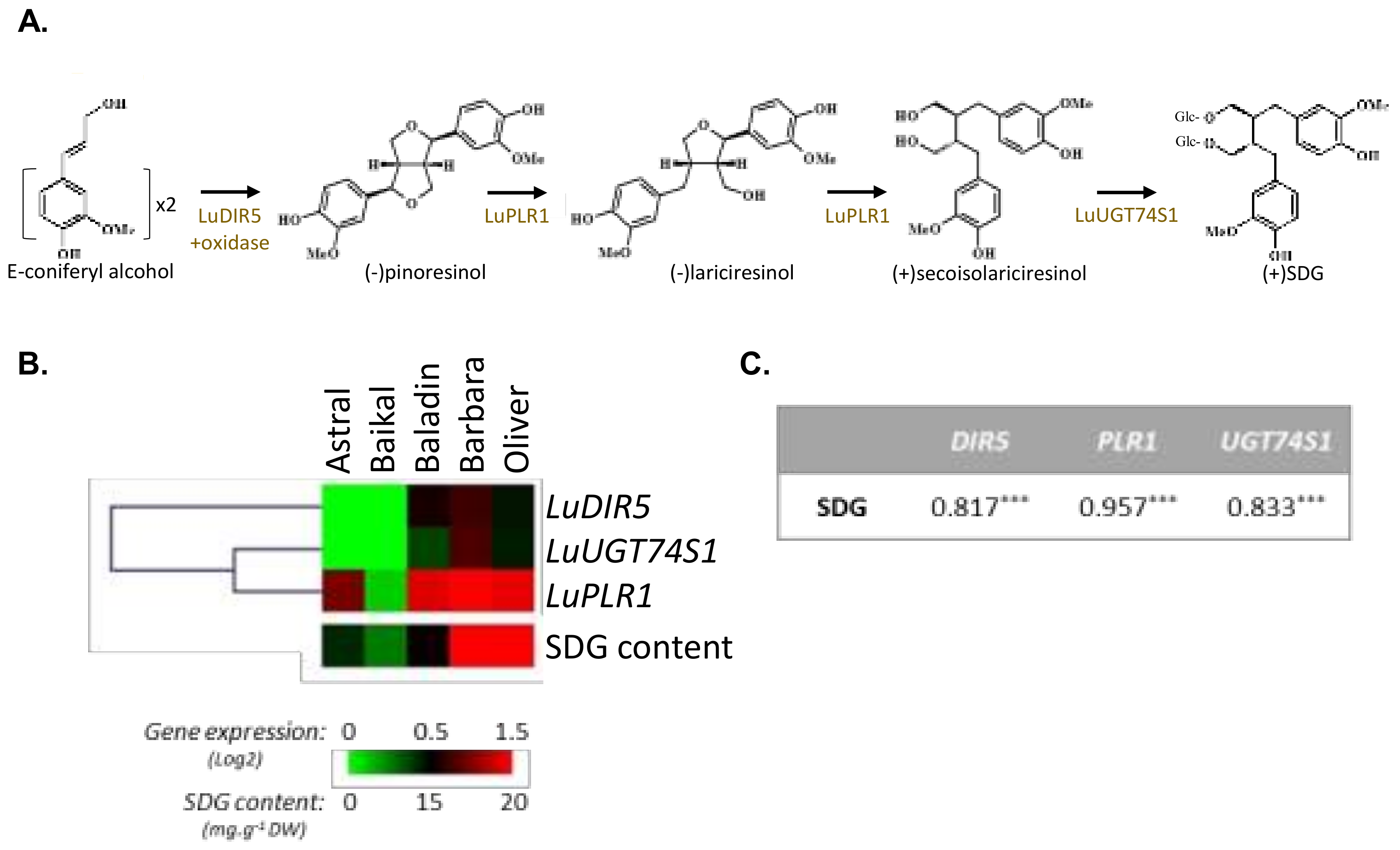 Molecules 23 02636 g002