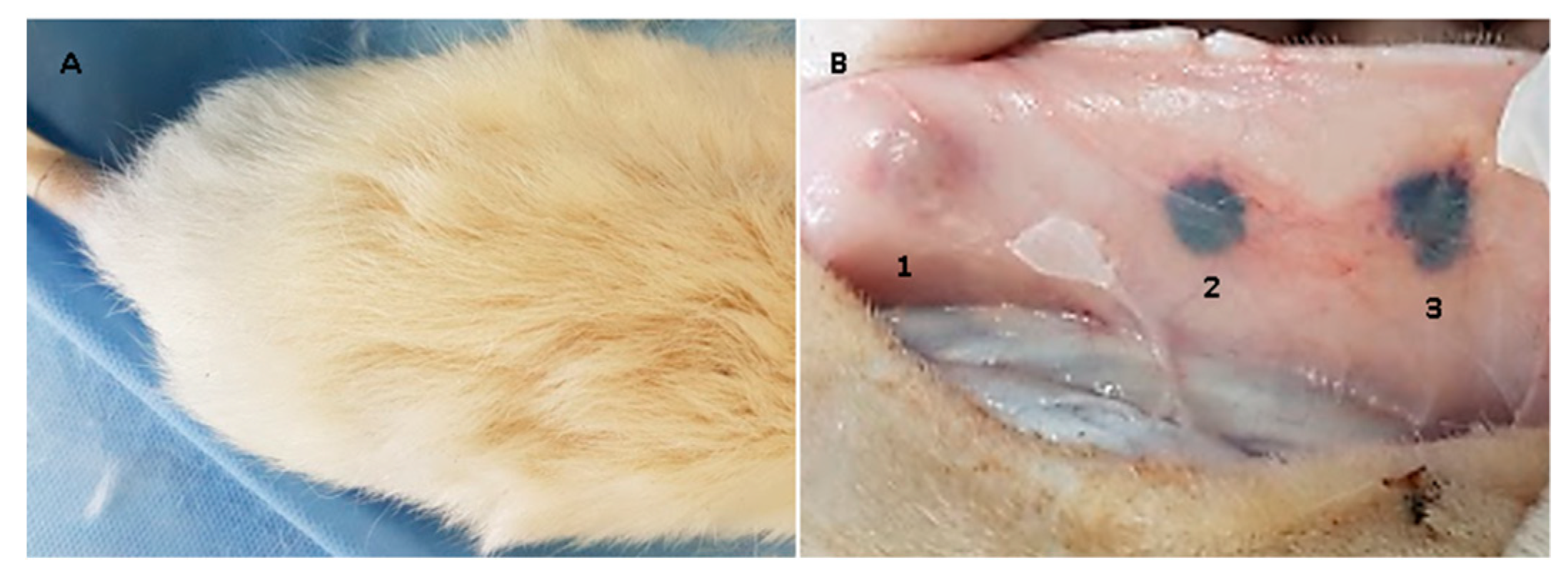 Molecules 23 02651 g007 Molecules 23 02651 g007