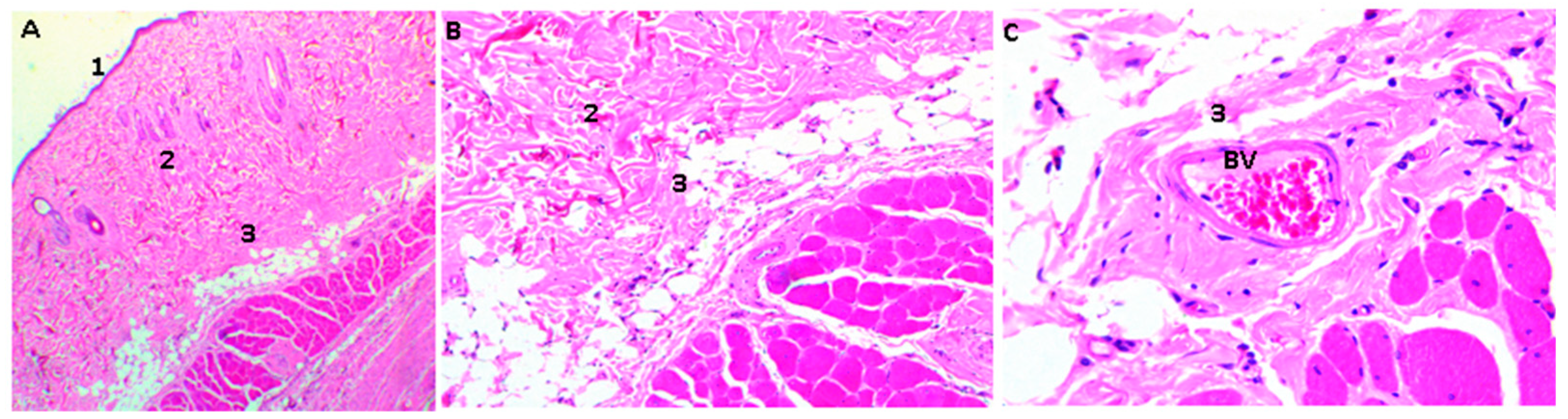 Molecules 23 02651 g008 Molecules 23 02651 g008