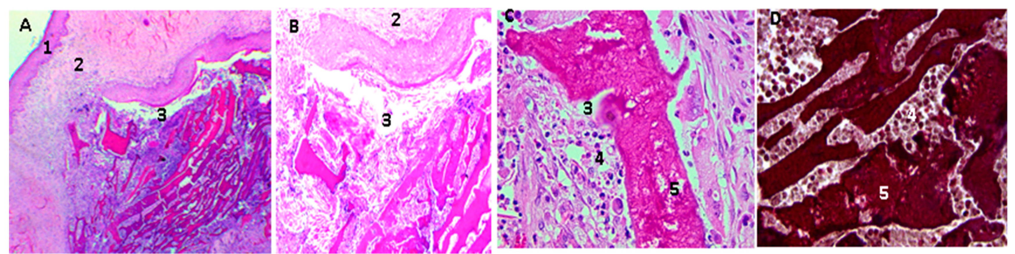 Molecules 23 02651 g009 Molecules 23 02651 g009