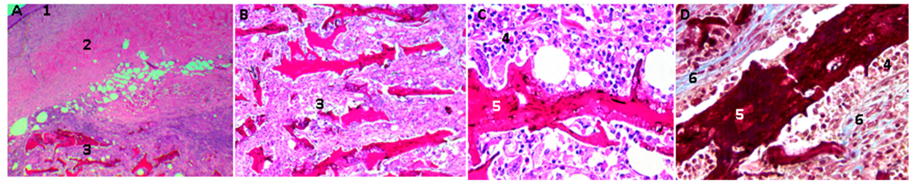 Molecules 23 02651 g010 Molecules 23 02651 g010
