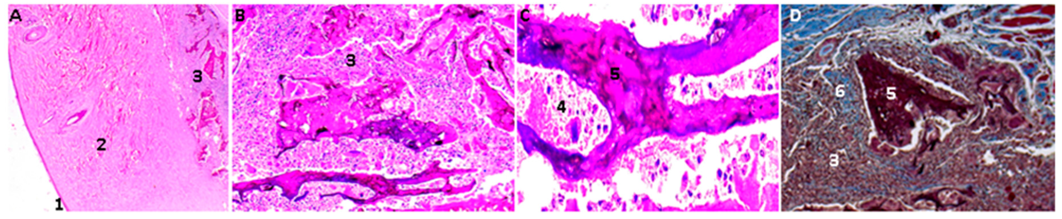 Molecules 23 02651 g011 Molecules 23 02651 g011