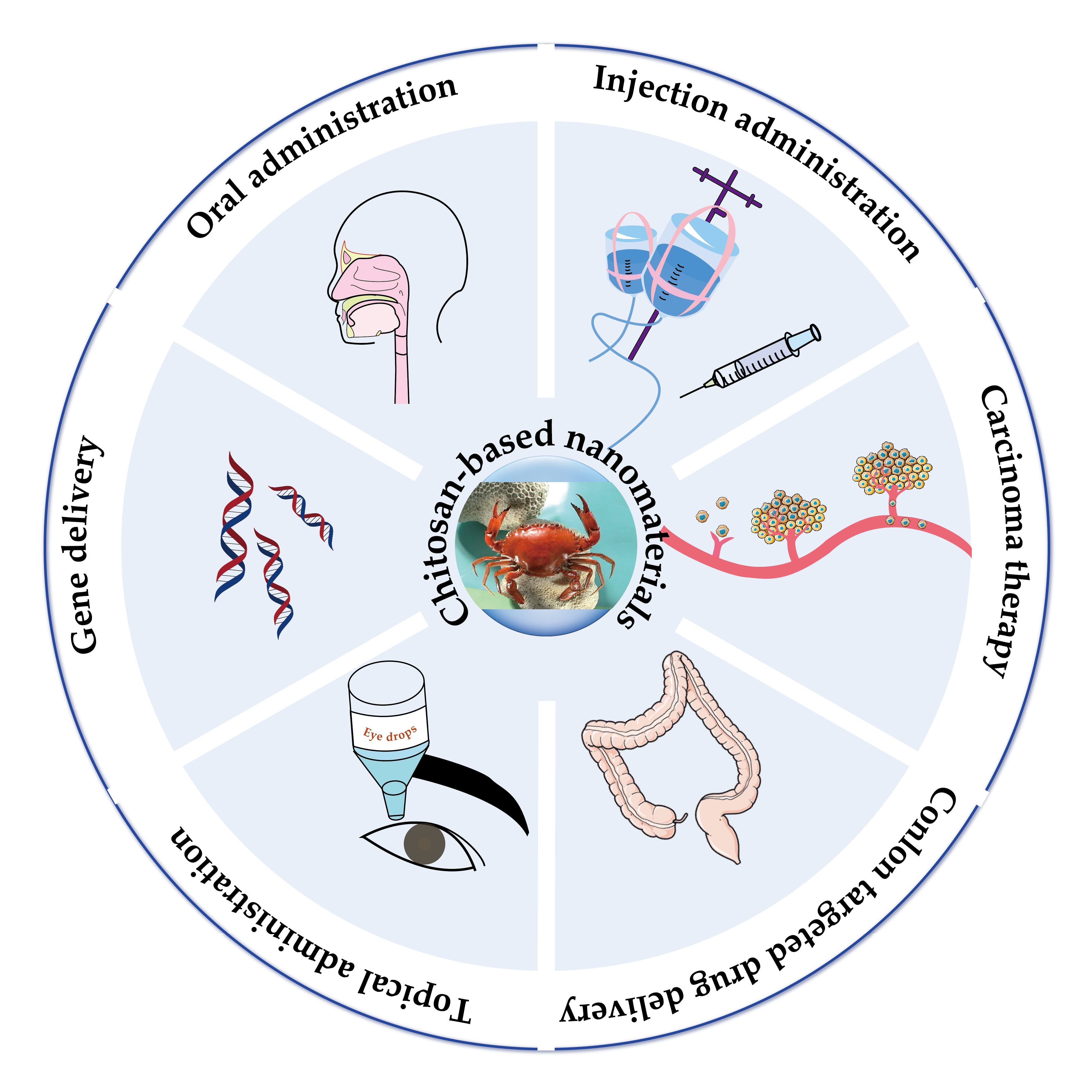 Molecules Free Full Text Chitosan Based Nanomaterials For Drug Delivery Html