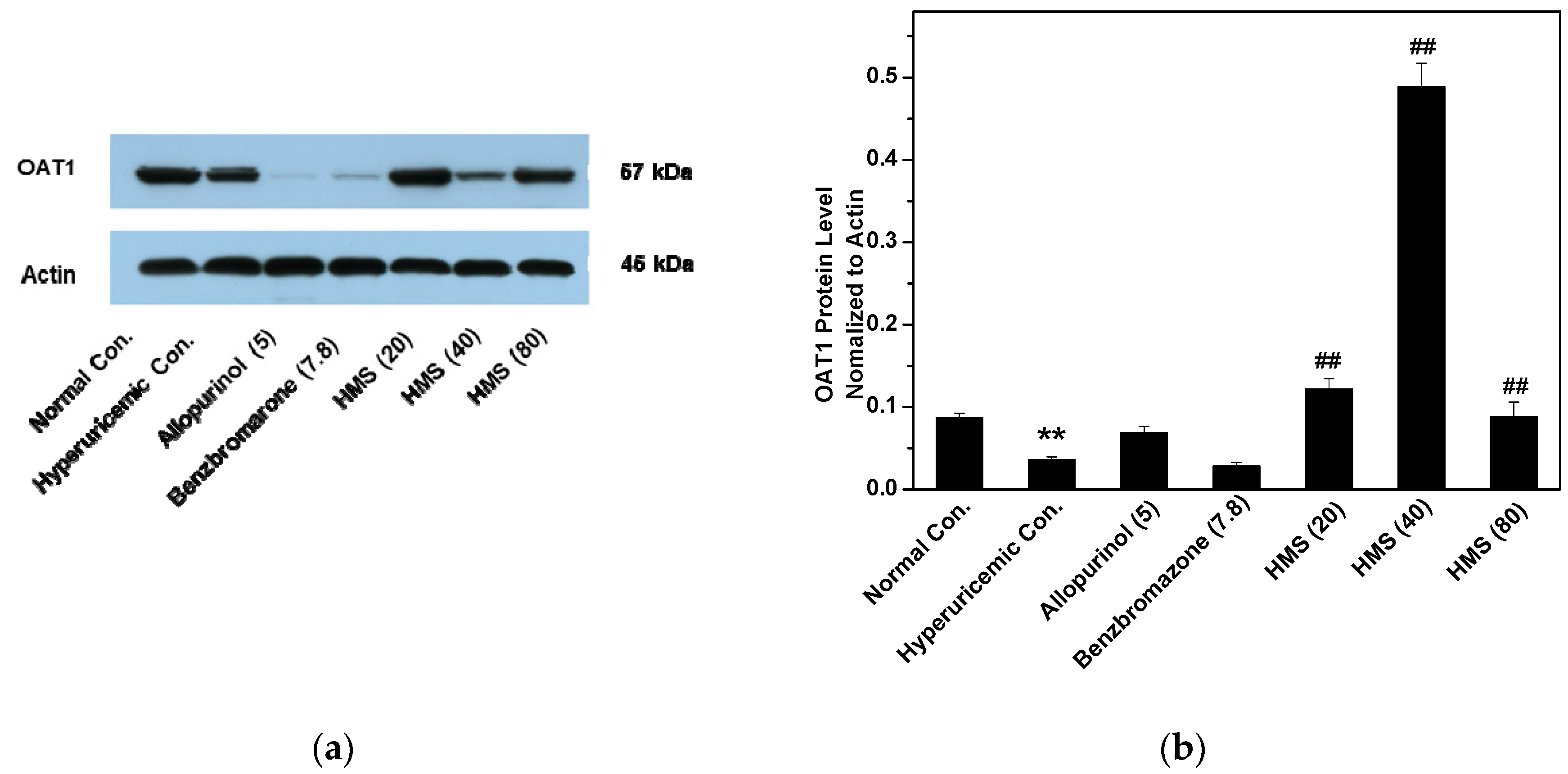Molecules 23 02671 g008