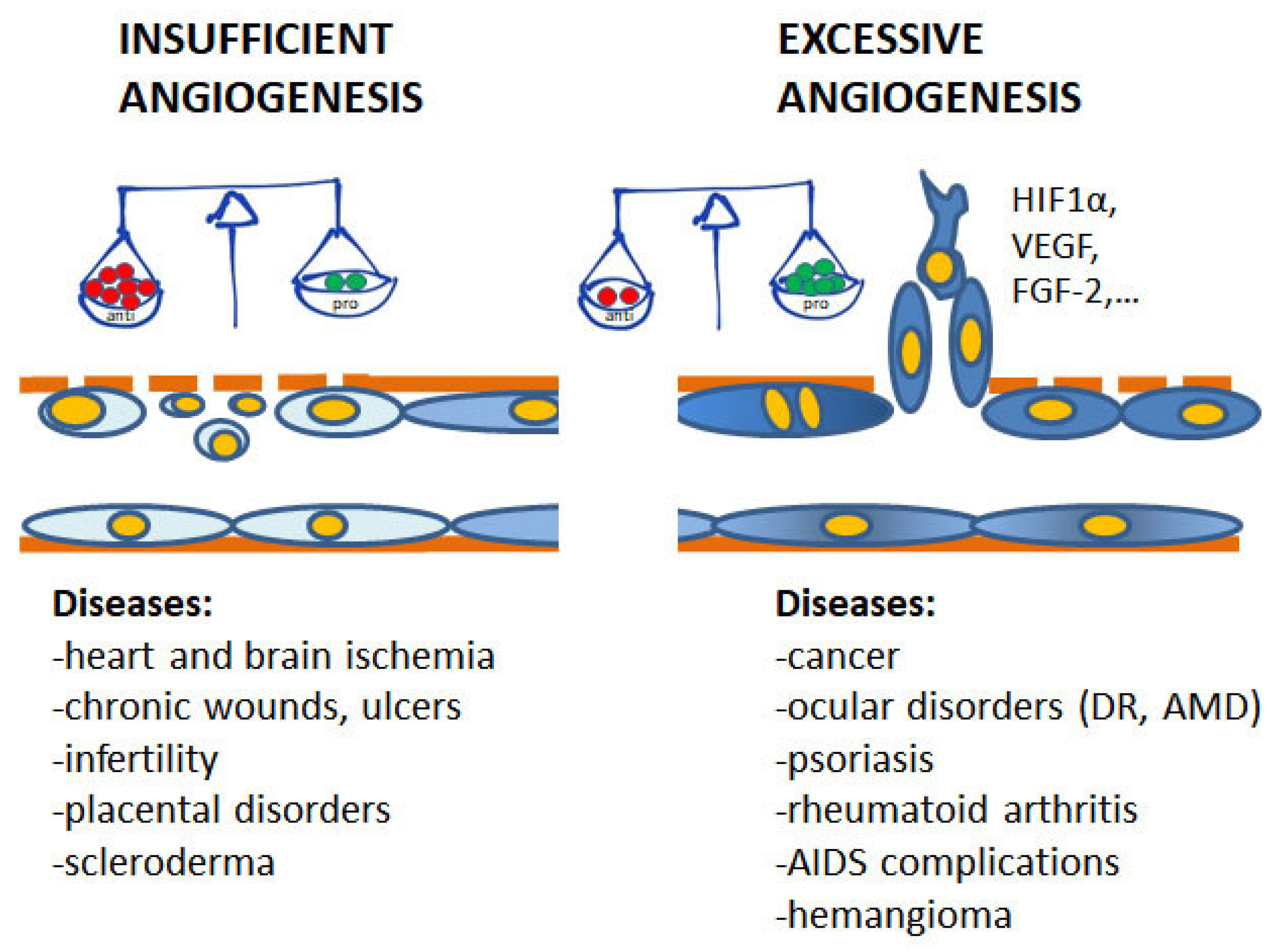 Molecules 23 02676 g001