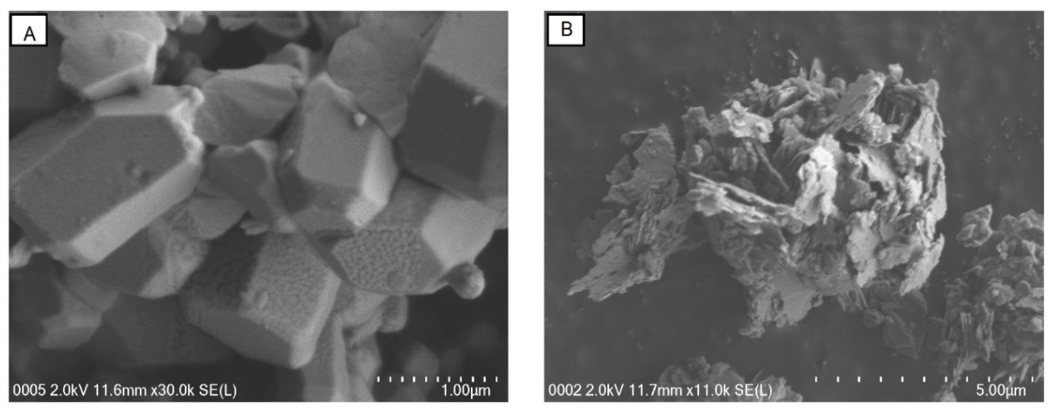 Molecules 23 02689 g009 Molecules 23 02689 g009